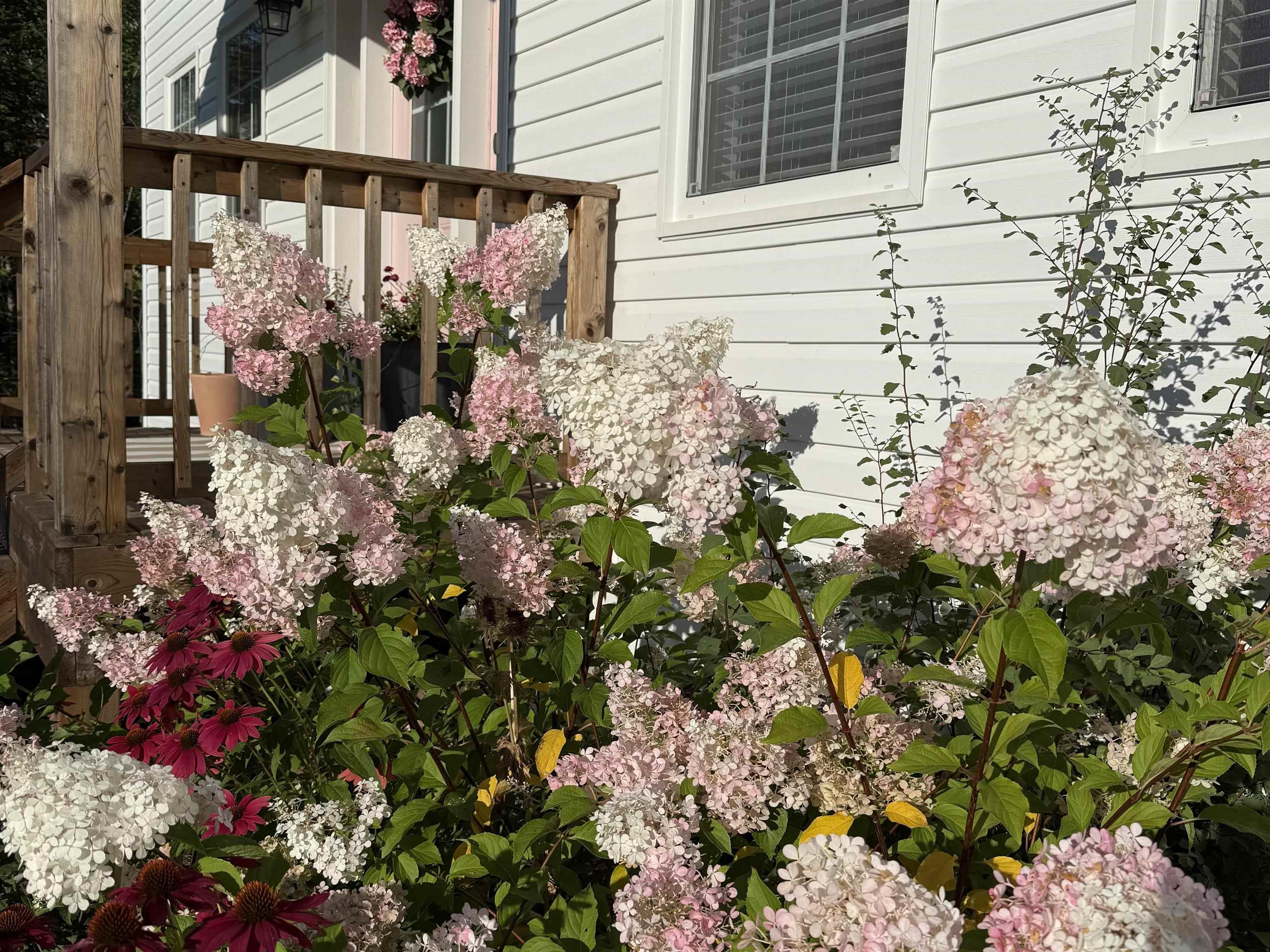 $749,900.00: 15 Acorn Avenue, Lantz