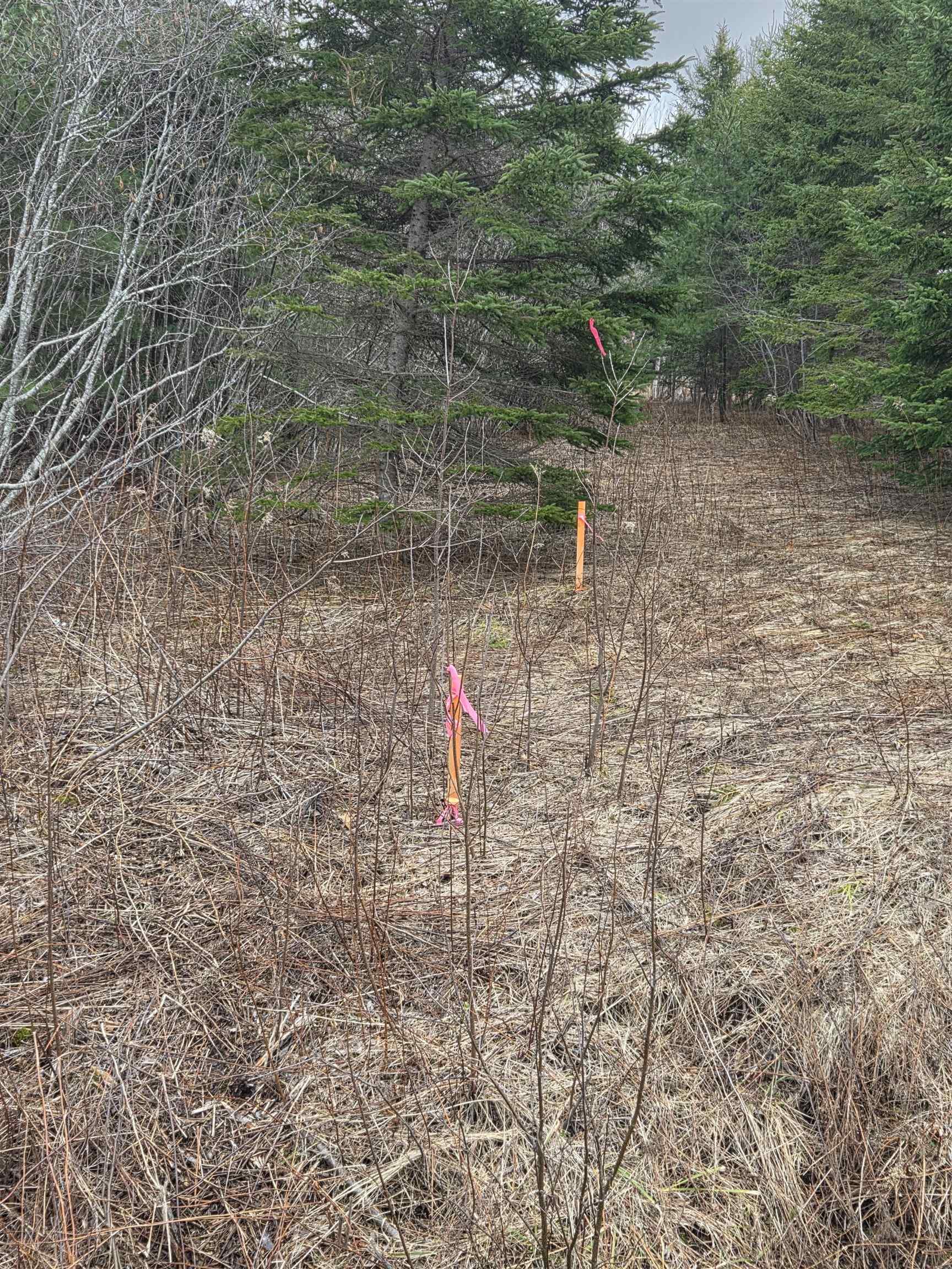 $45,900.00: CWM-A Highway 236, Stanley, Stanley
