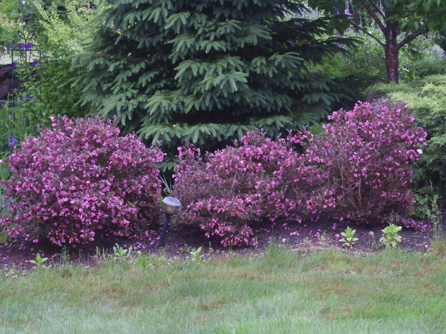 152 Briancrest Road, Windsor Junction, NS (MLS 202606423)