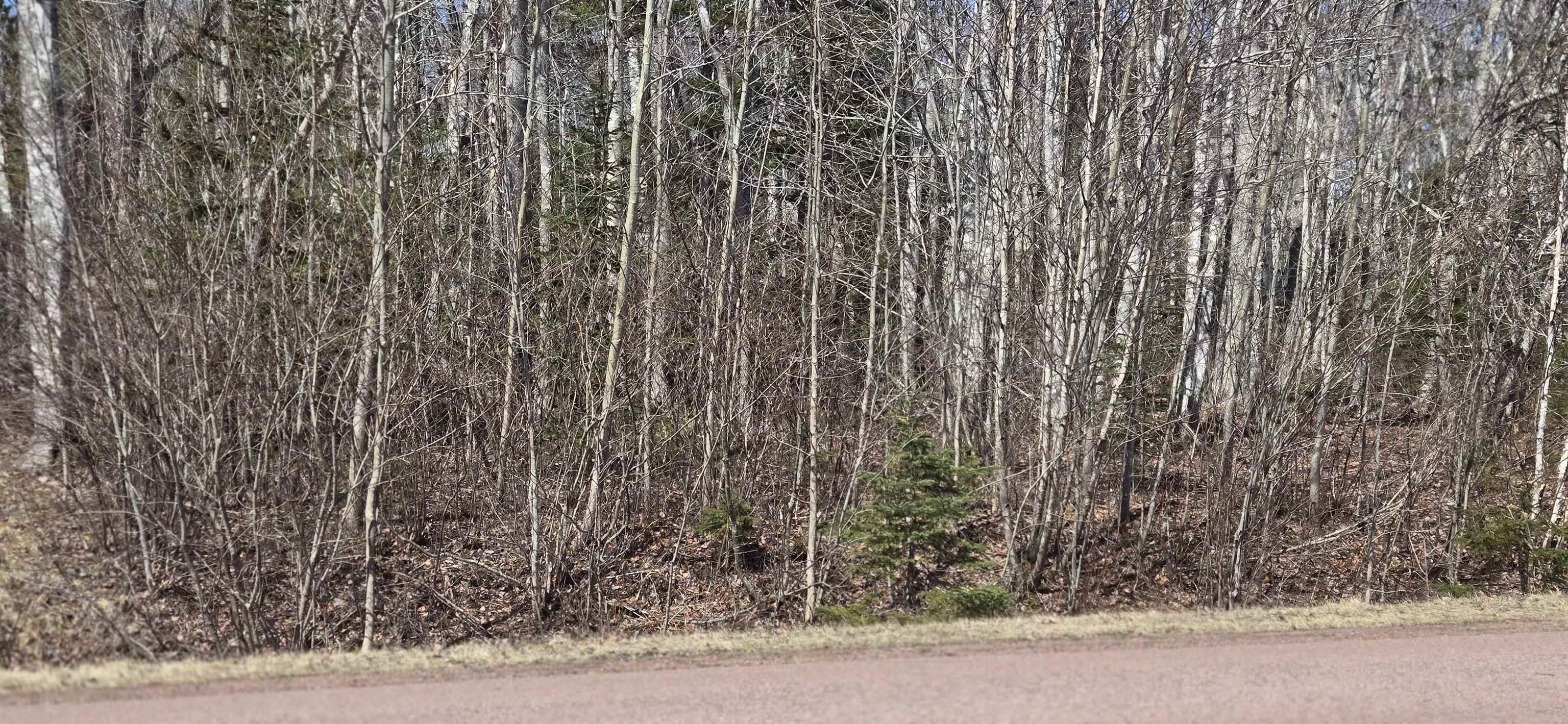 $74,900.00: 153 Taylors Road, Pomquet