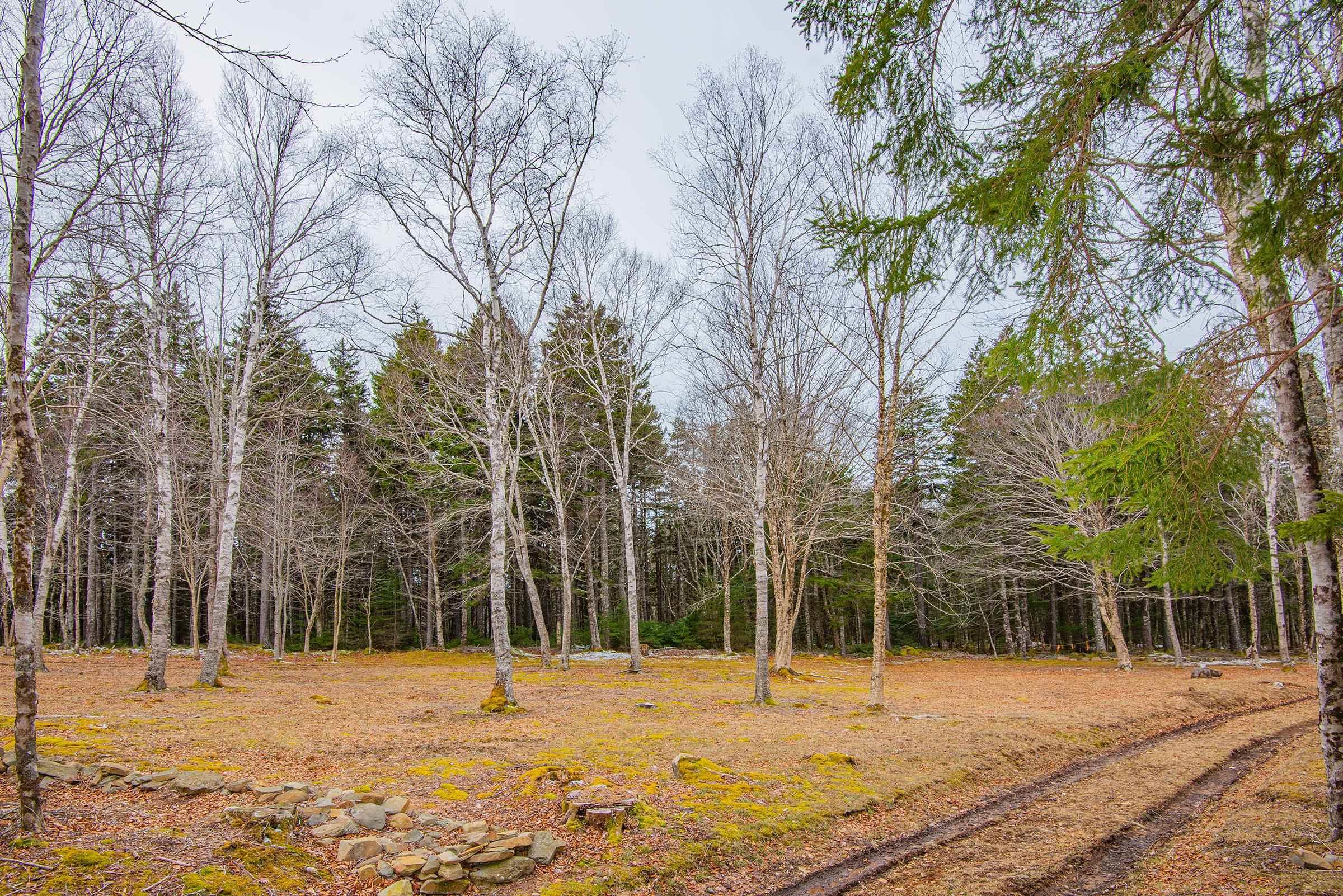 $34,900.00: Lot Peter Leblanc Road, Meteghan
