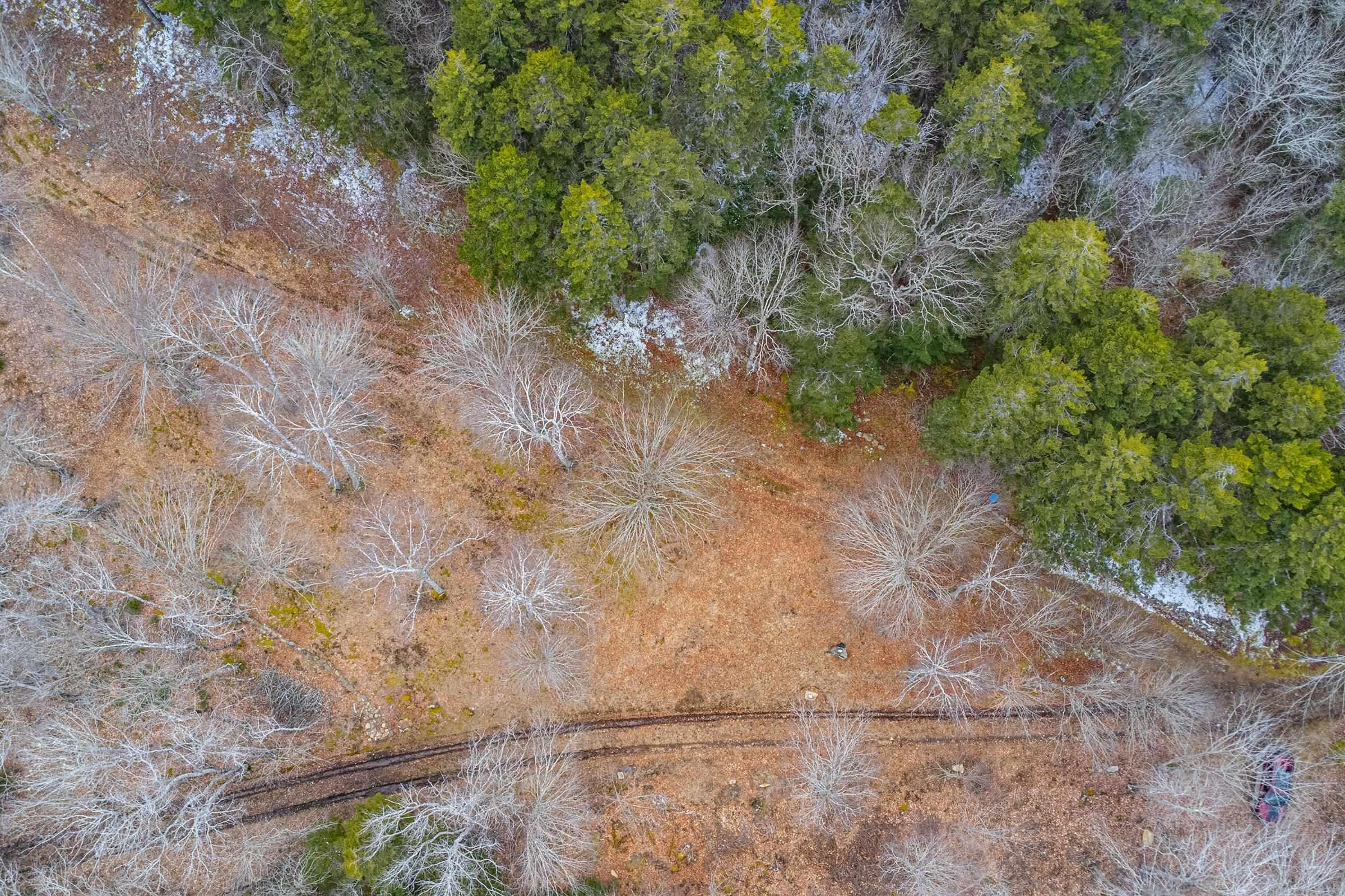 $34,900.00: Lot Peter Leblanc Road, Meteghan