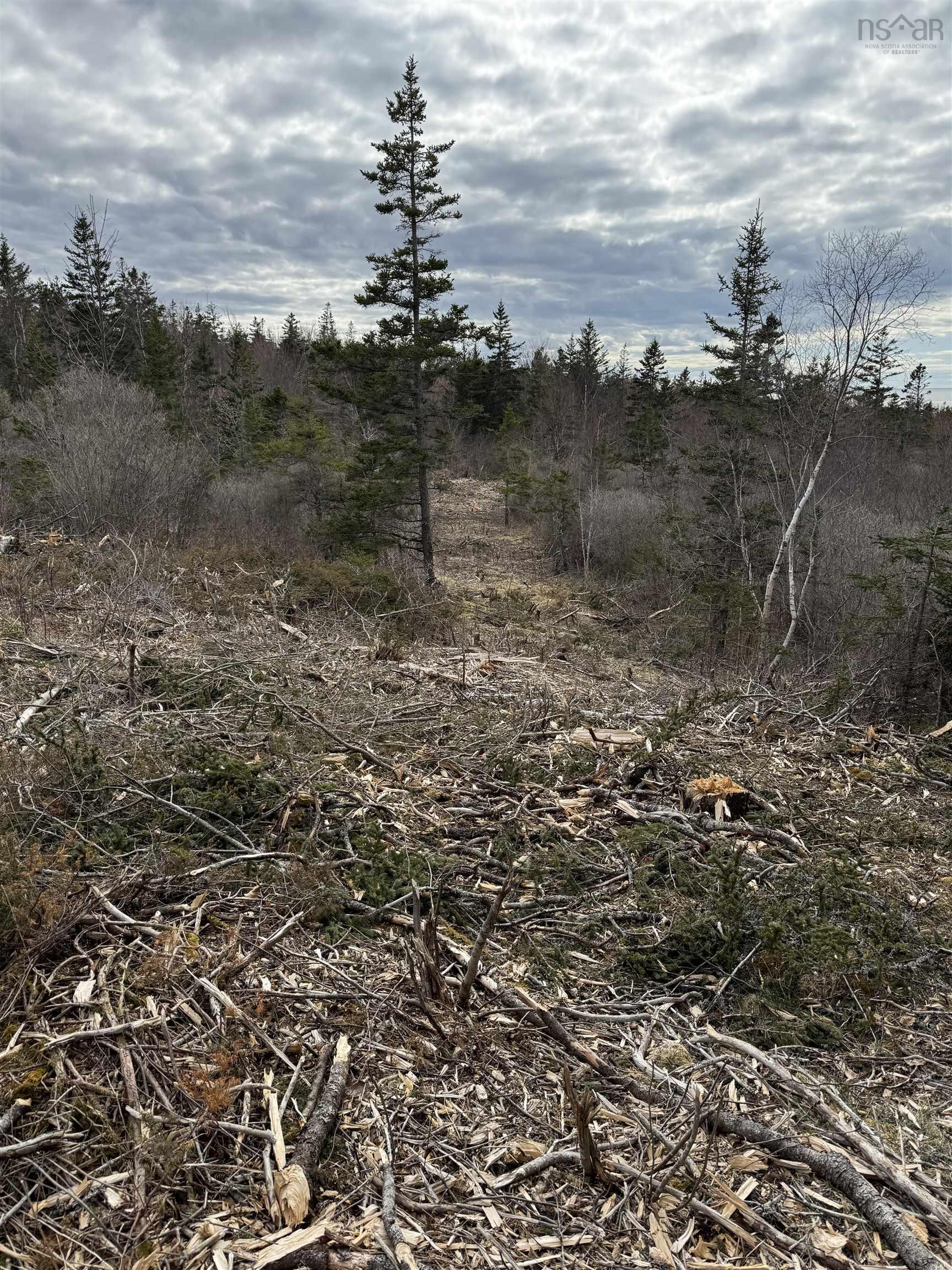 $140,000.00: Lot 9 Shore Road West, Phinneys Cove