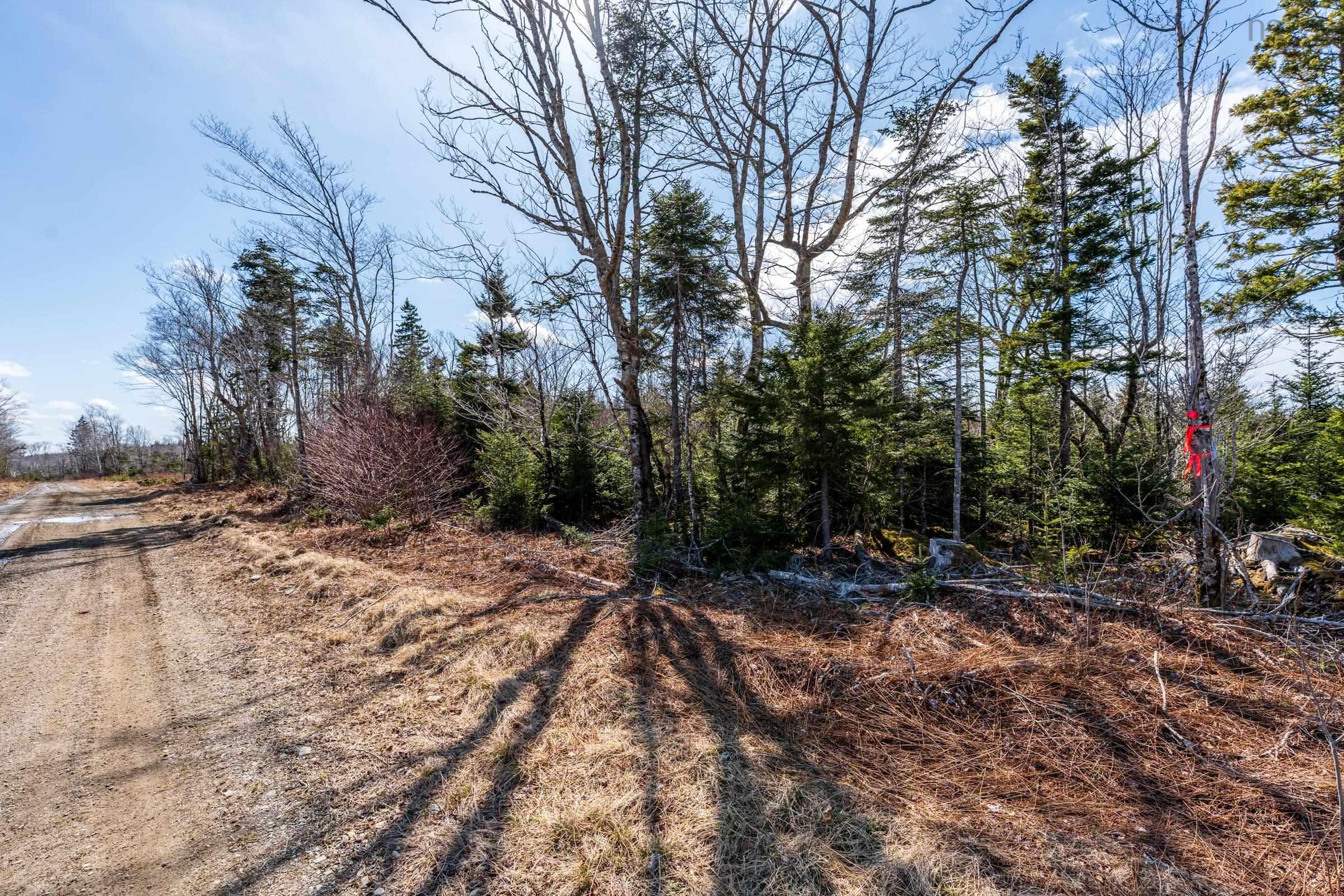 $19,500.00: Lot Davis Cove Road, Salmon River