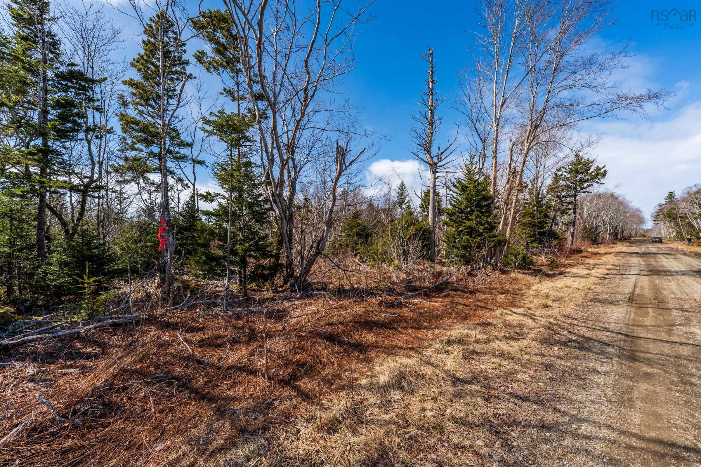 $19,500.00: Lot Davis Cove Road, Salmon River