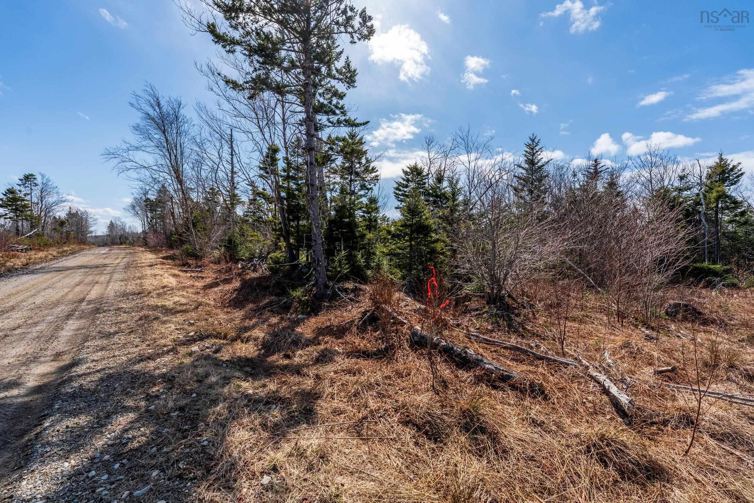 $19,500.00: Lot Davis Cove Road, Salmon River
