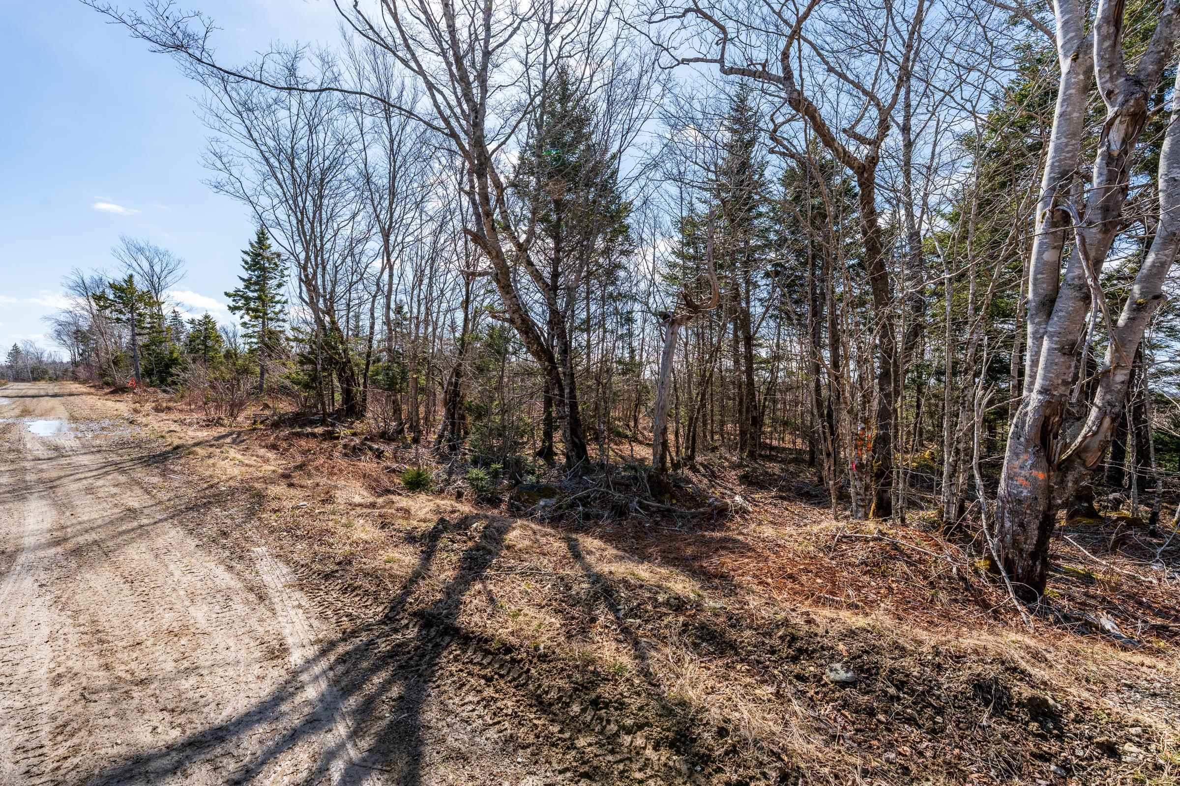 $19,500.00: Lot Davis Cove Road, Salmon River