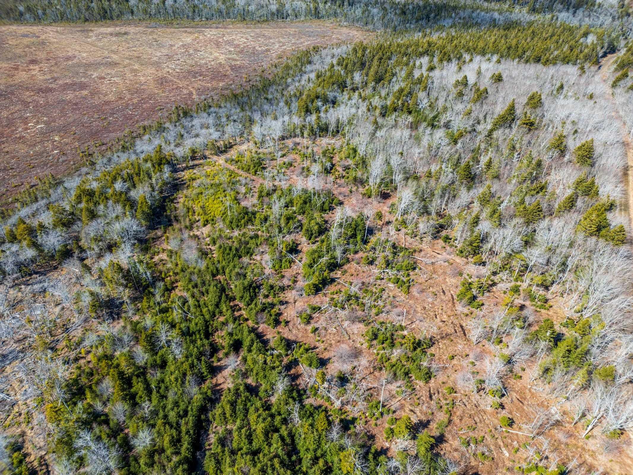 $19,500.00: Lot Davis Cove Road, Salmon River