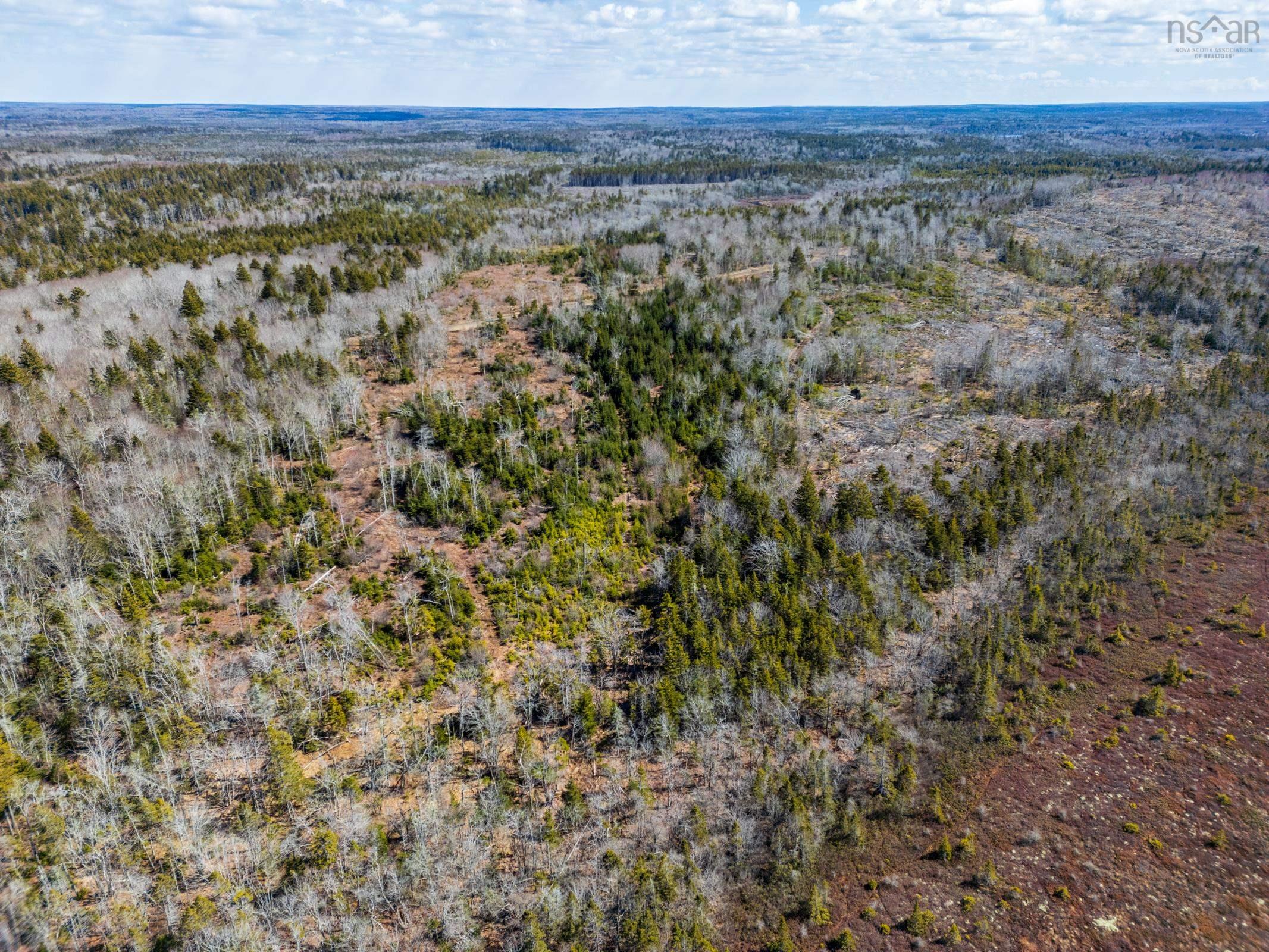 $20,000.00: Lot Davis Cove Road, Salmon River
