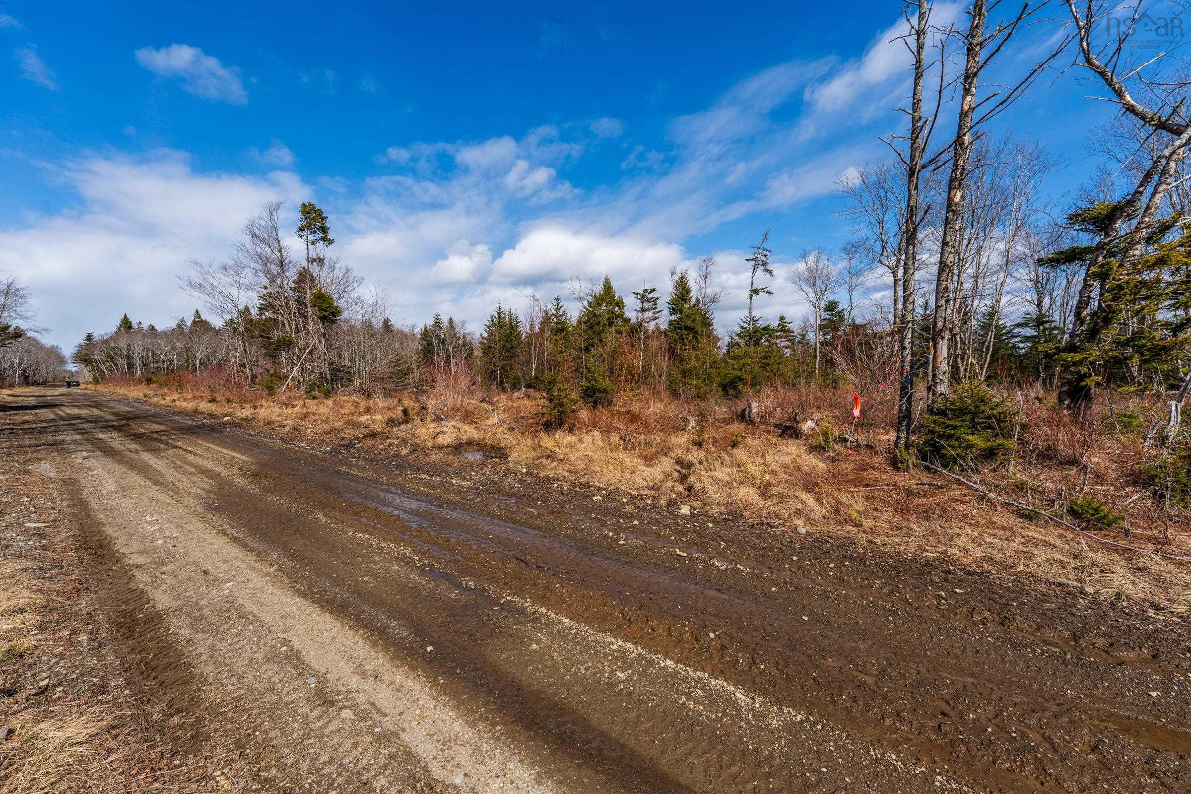 $20,000.00: Lot Davis Cove Road, Salmon River
