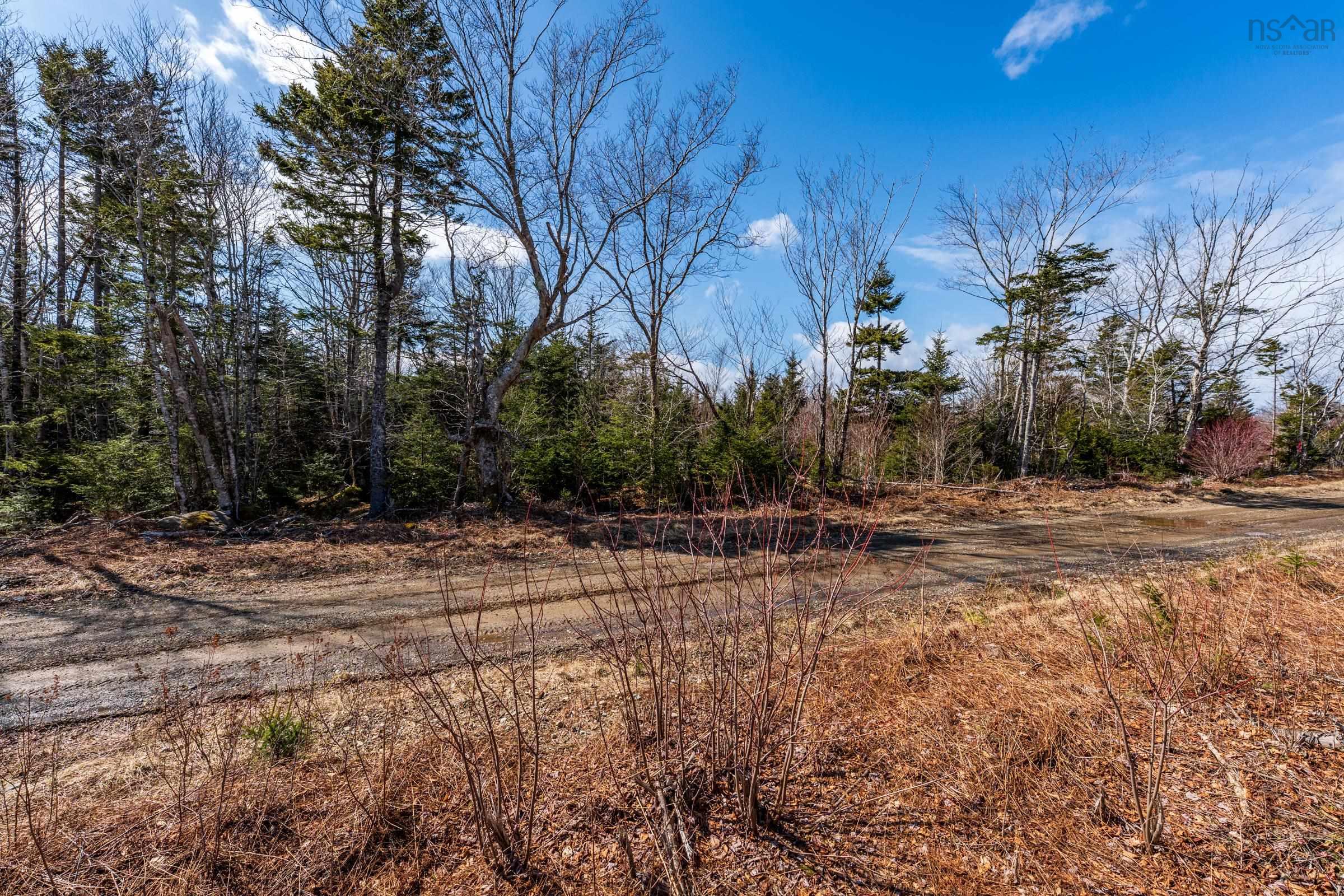 $20,000.00: Lot Davis Cove Road, Salmon River