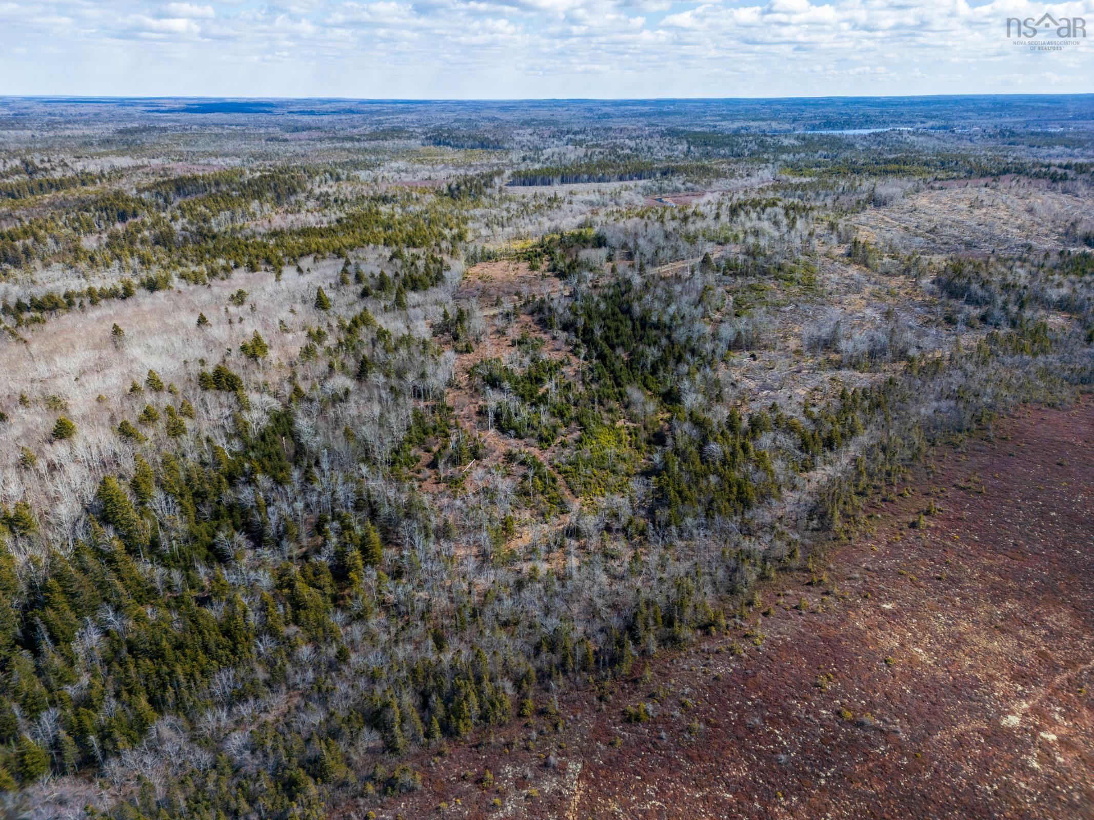 $20,000.00: Lot Davis Cove Road, Salmon River