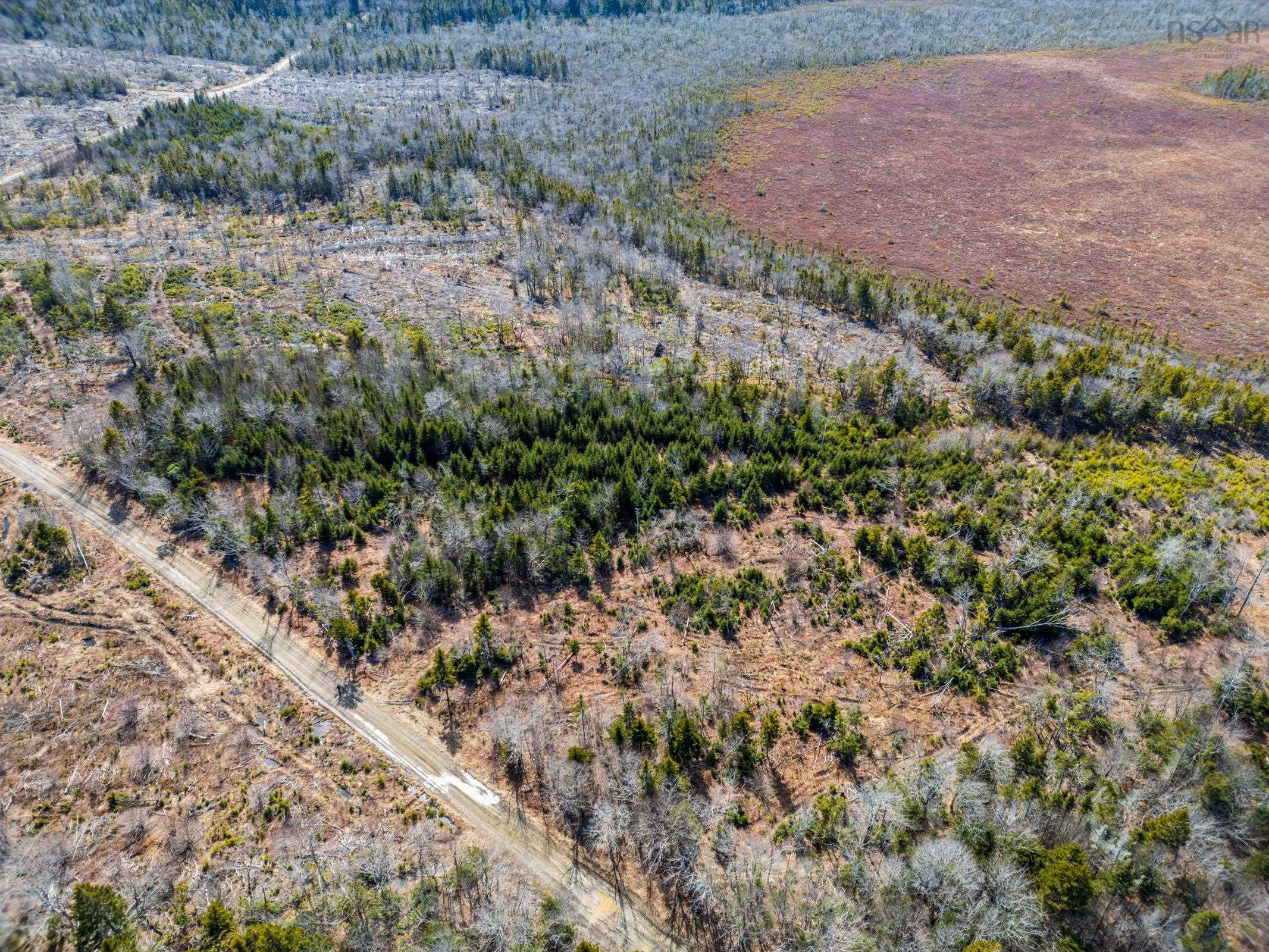 $20,000.00: Lot Davis Cove Road, Salmon River