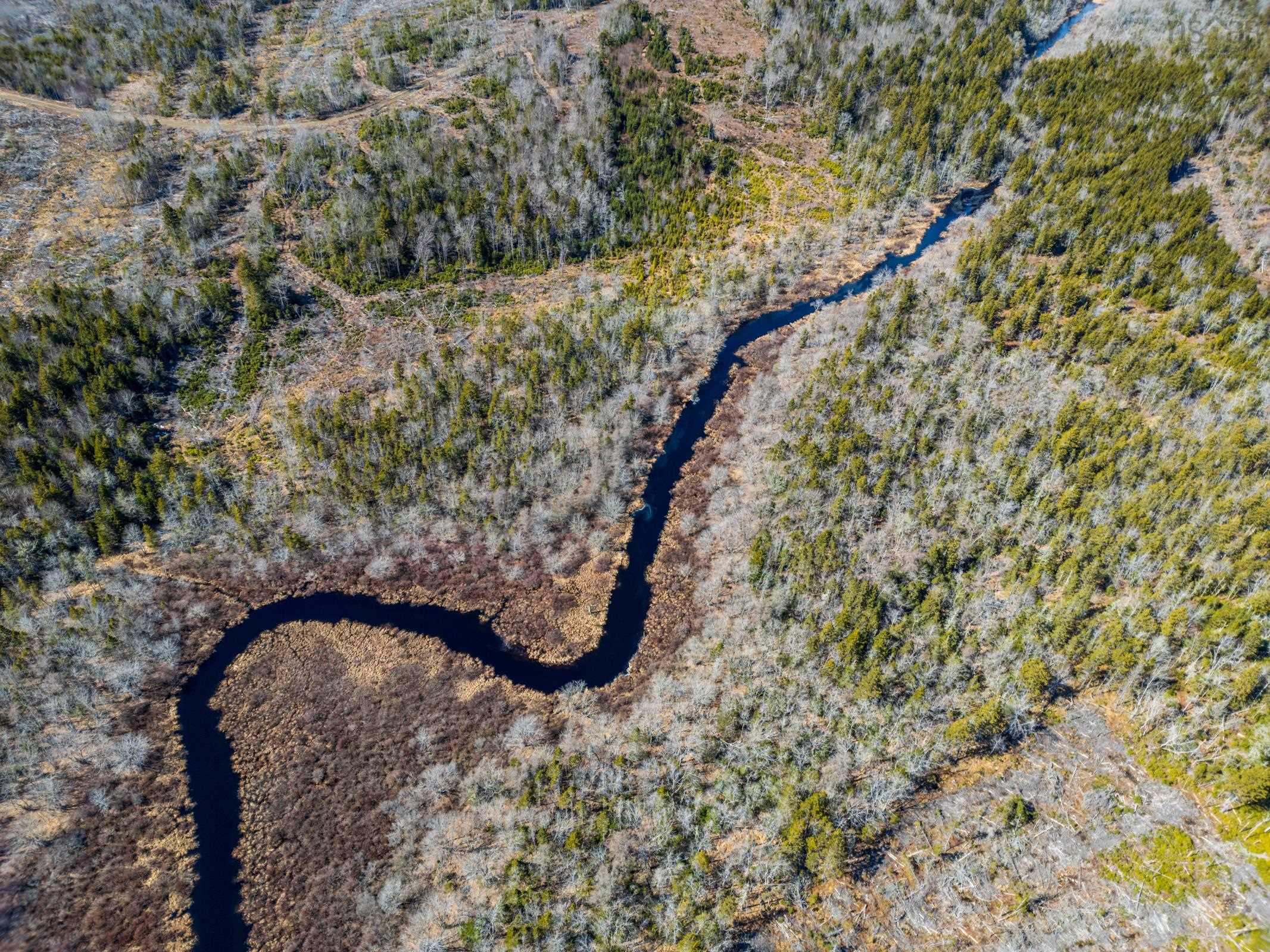$20,000.00: Lot Davis Cove Road, Salmon River