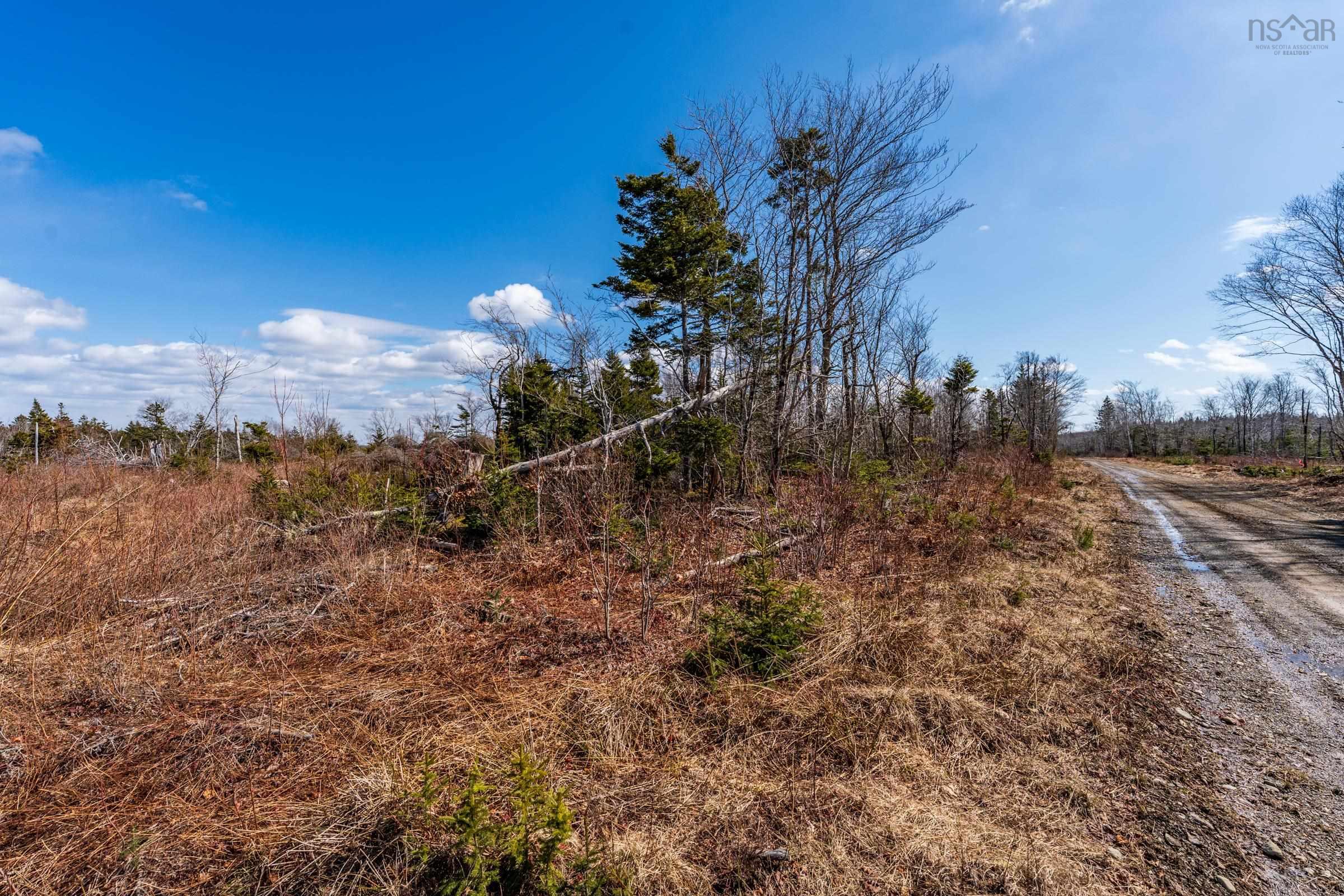 $20,000.00: Lot Davis Cove Road, Salmon River