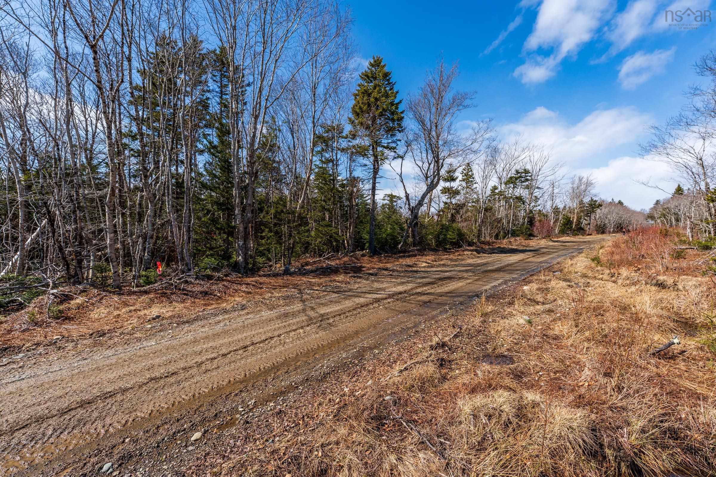 $20,000.00: Lot Davis Cove Road, Salmon River