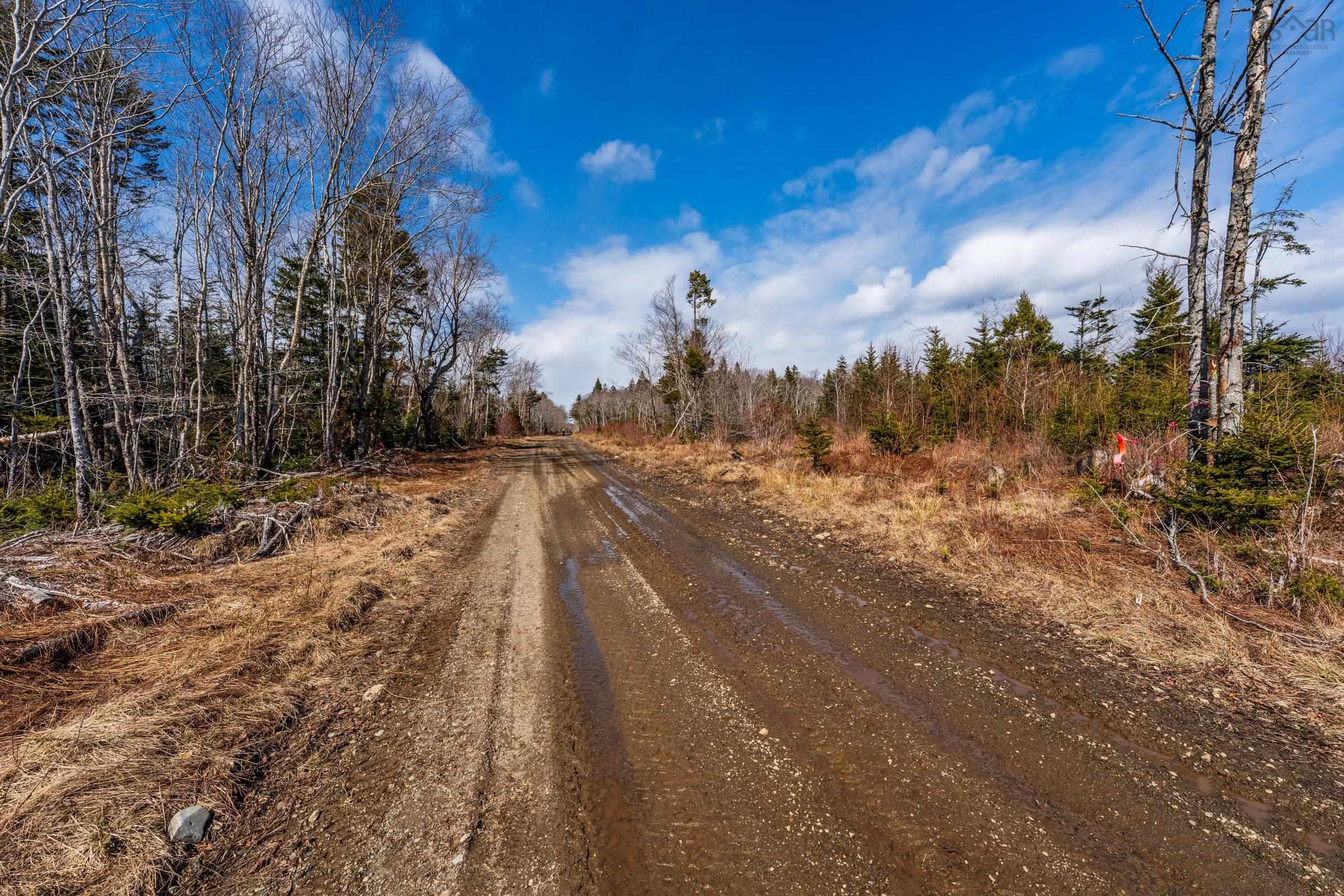 $20,000.00: Lot Davis Cove Road, Salmon River
