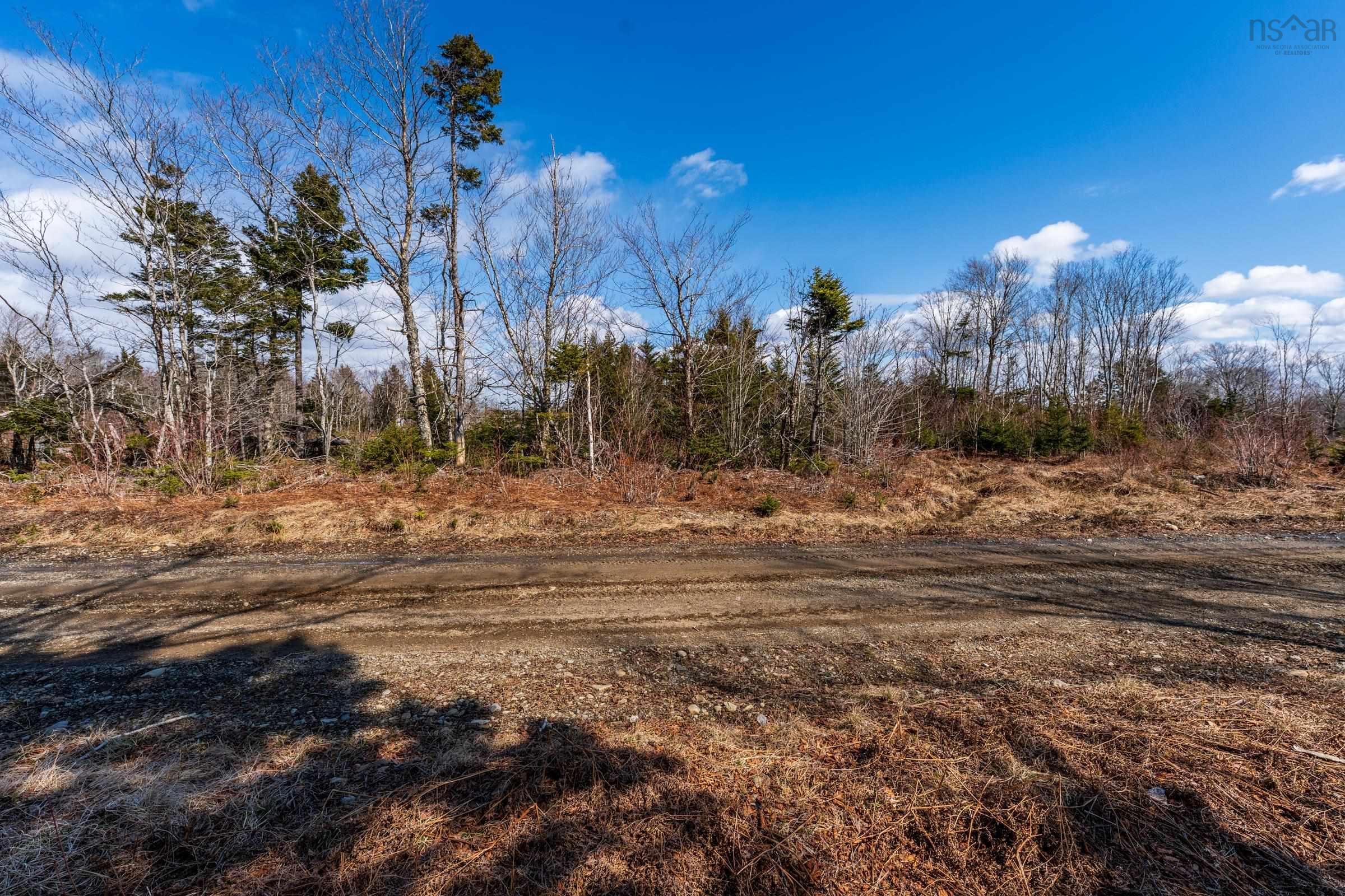 $20,000.00: Lot Davis Cove Road, Salmon River