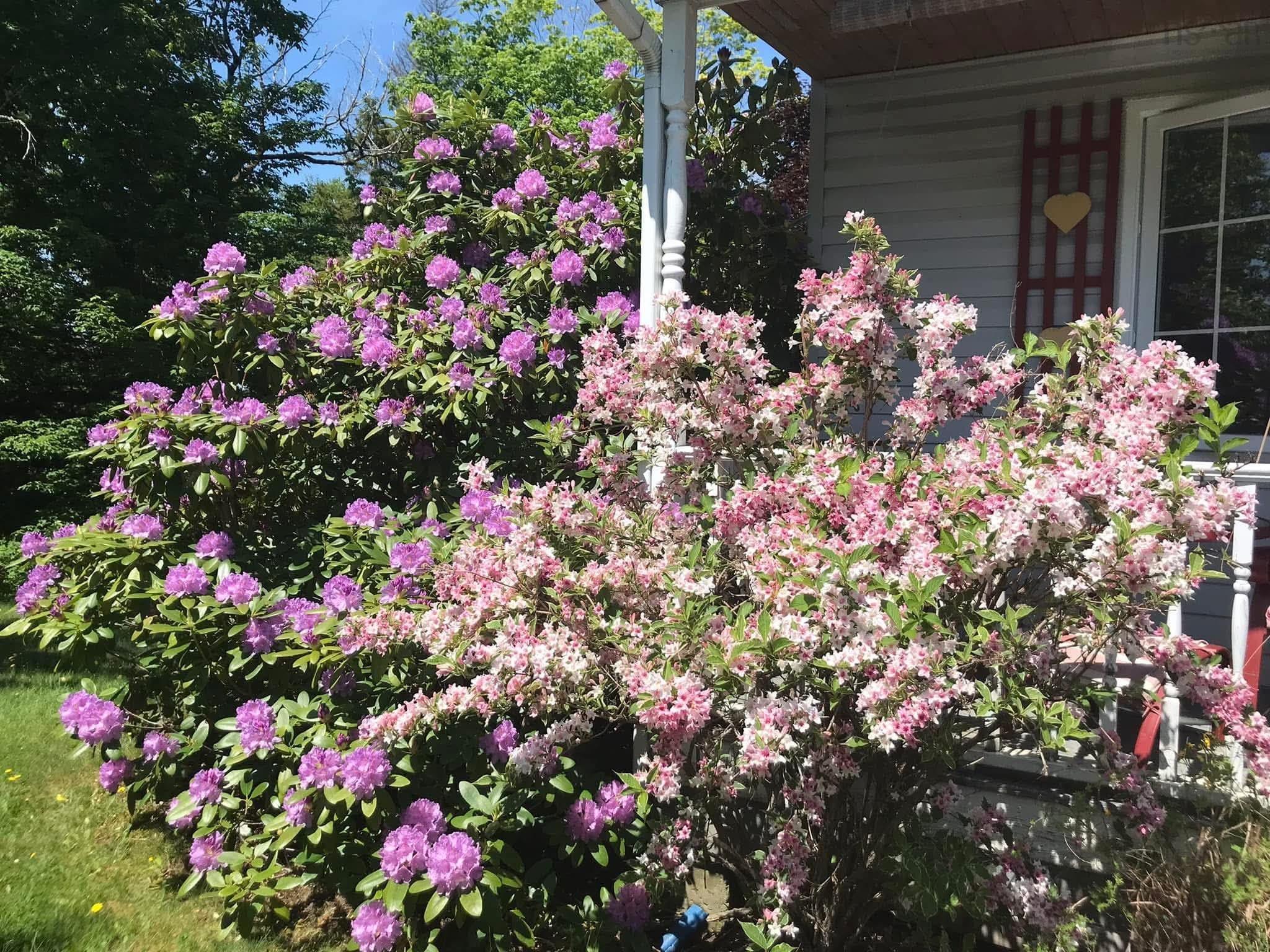 65 Westwind Ridge, Middle Sackville, NS (MLS 202606631)