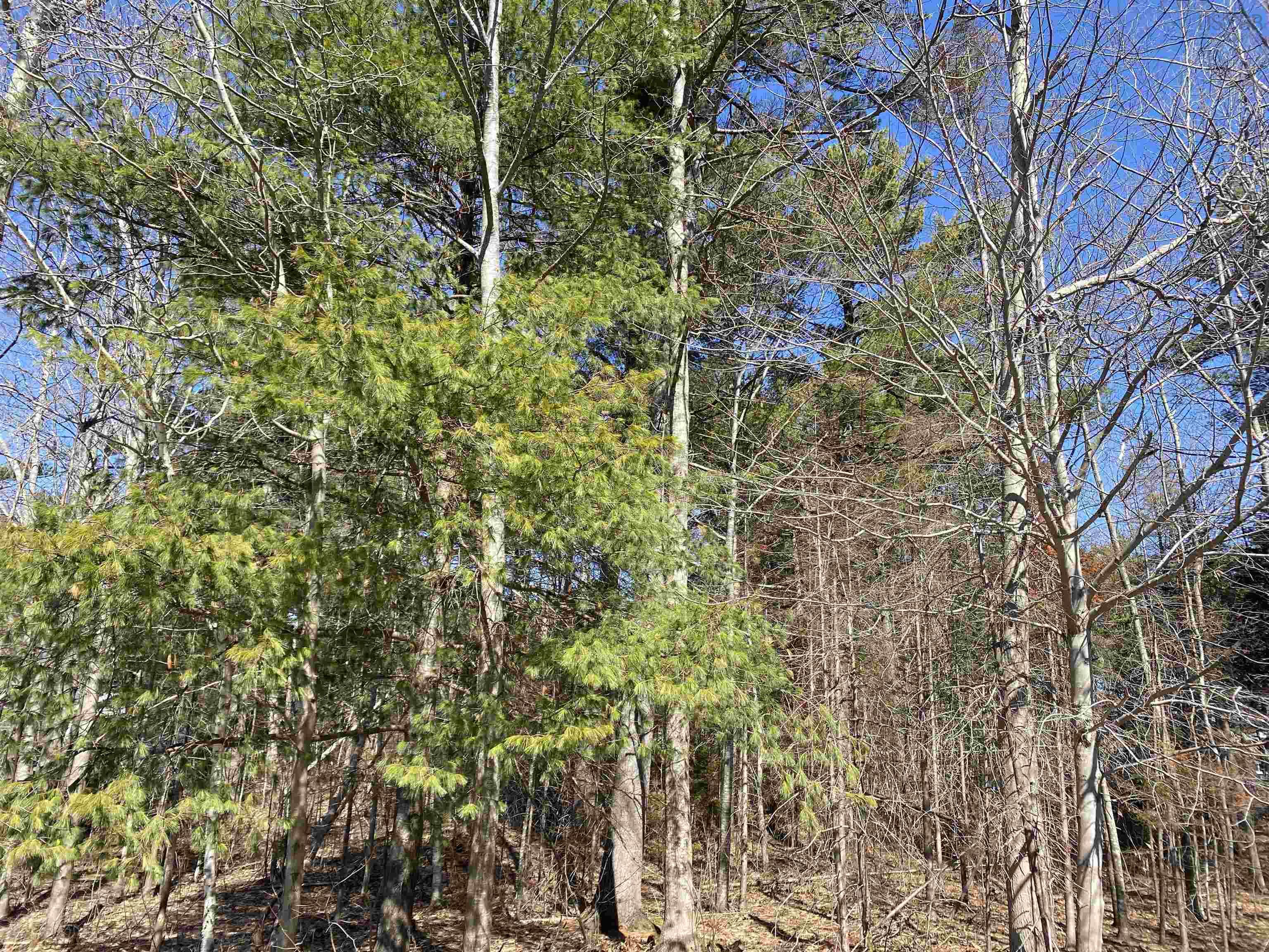 $49,000.00: 20 Mountain View Road, Coldbrook