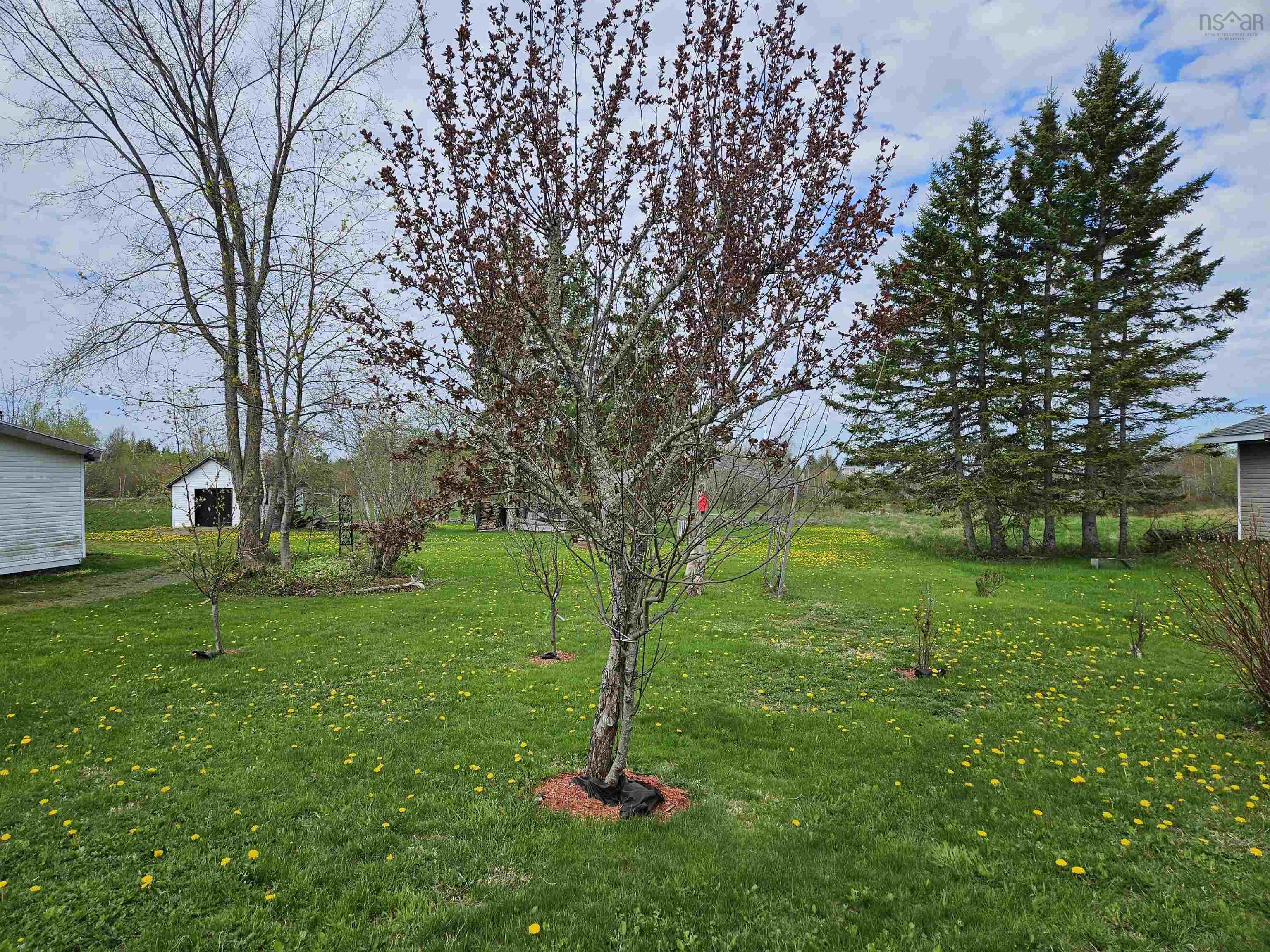 $328,000.00: 37 Morris Street, Springhill