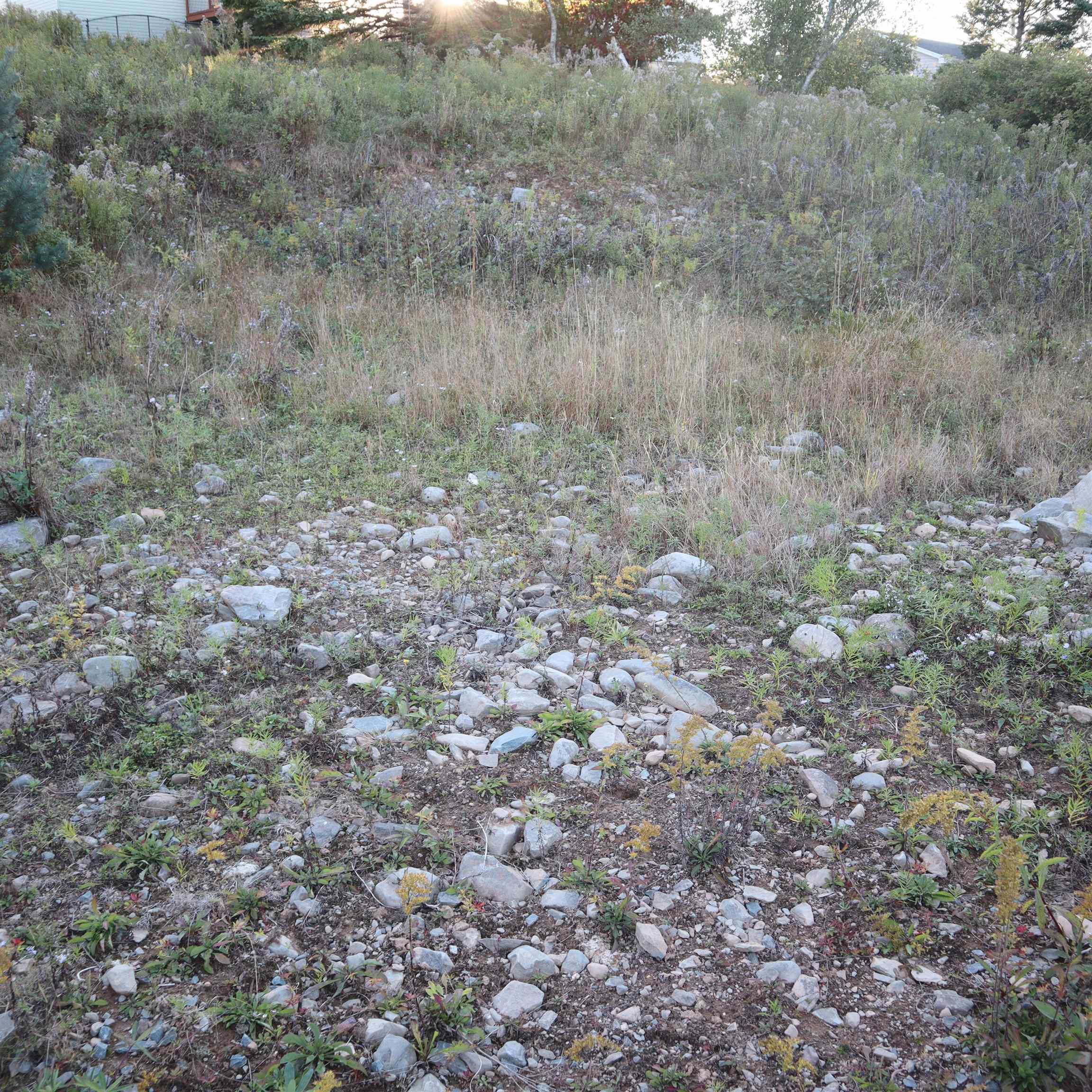 44 Poonam Court, Dartmouth, NS (MLS 202606684)