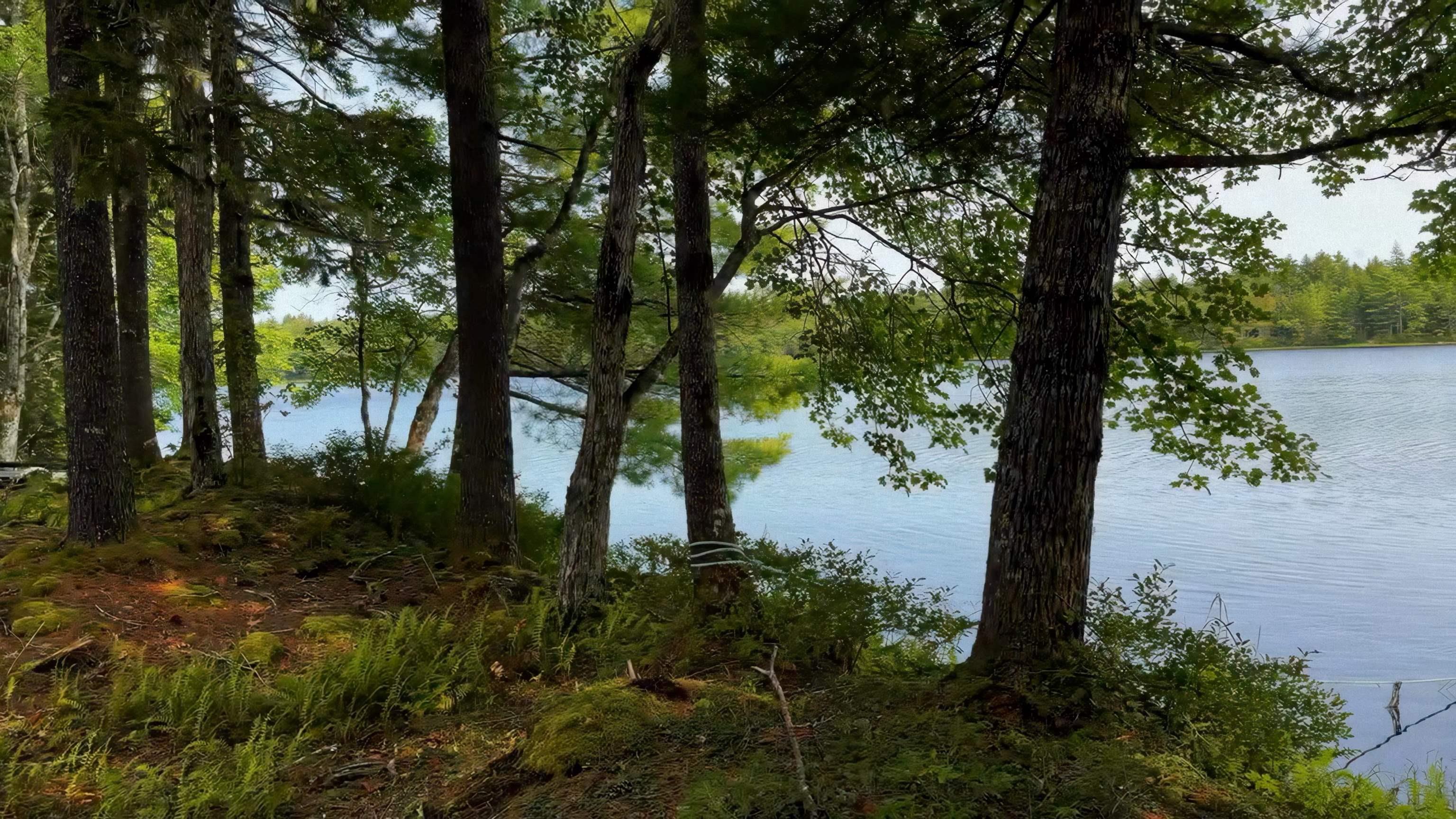 $69,900.00: Lot 4 Robert E Road, Kemptville