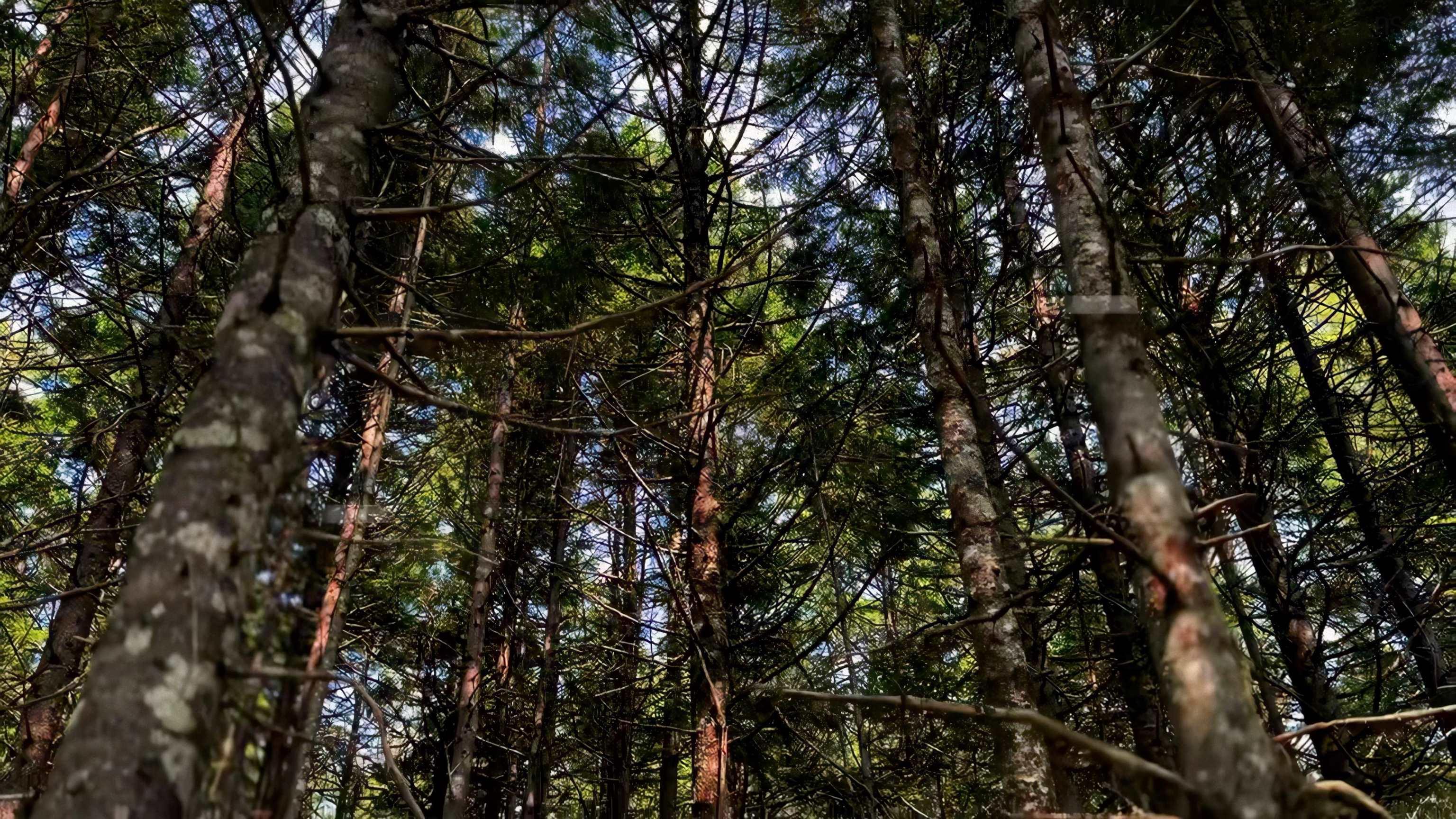 $69,900.00: Lot 4 Robert E Road, Kemptville