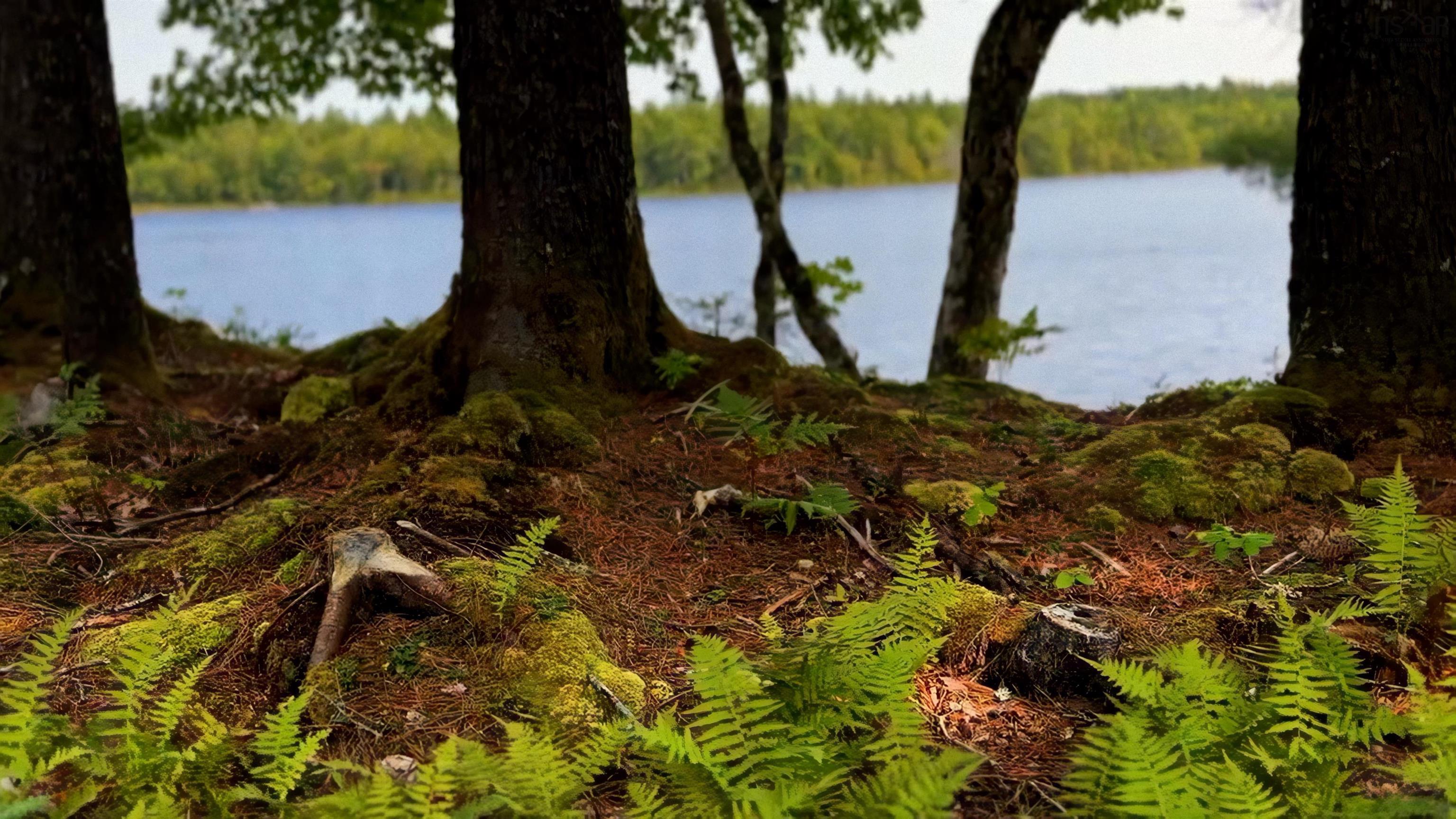 $69,900.00: Lot 4 Robert E Road, Kemptville