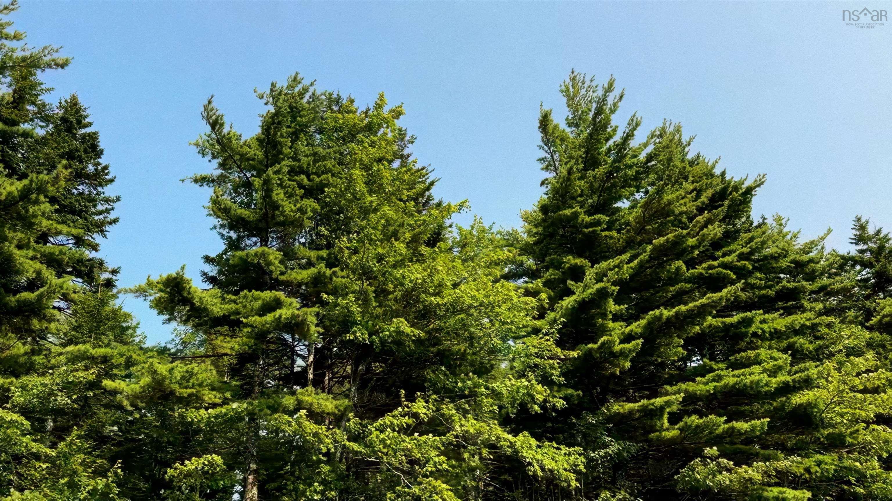 $69,900.00: Lot 3 Robert E Road, Kemptville