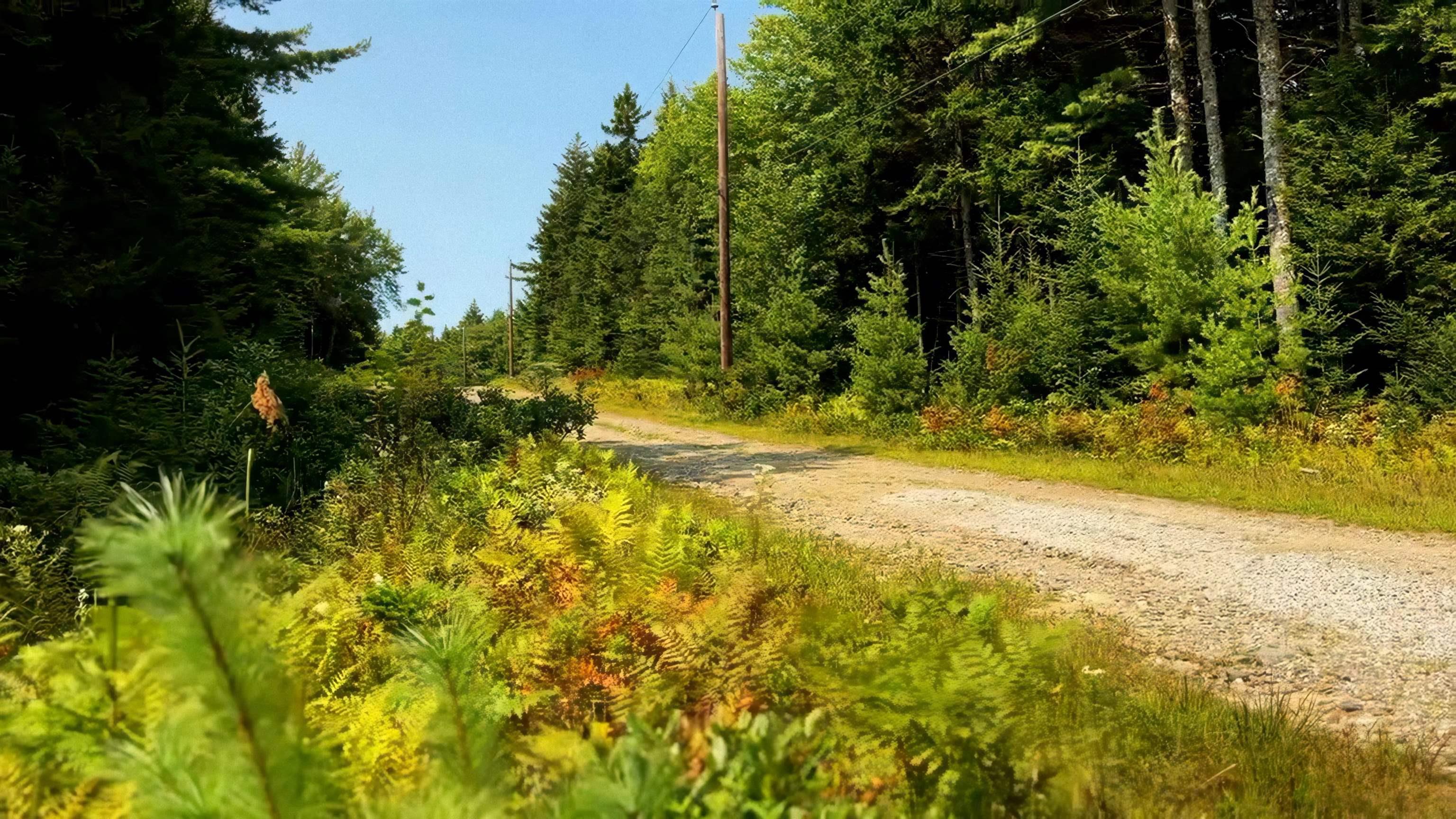 $69,900.00: Lot 5 Robert E Road, Kemptville