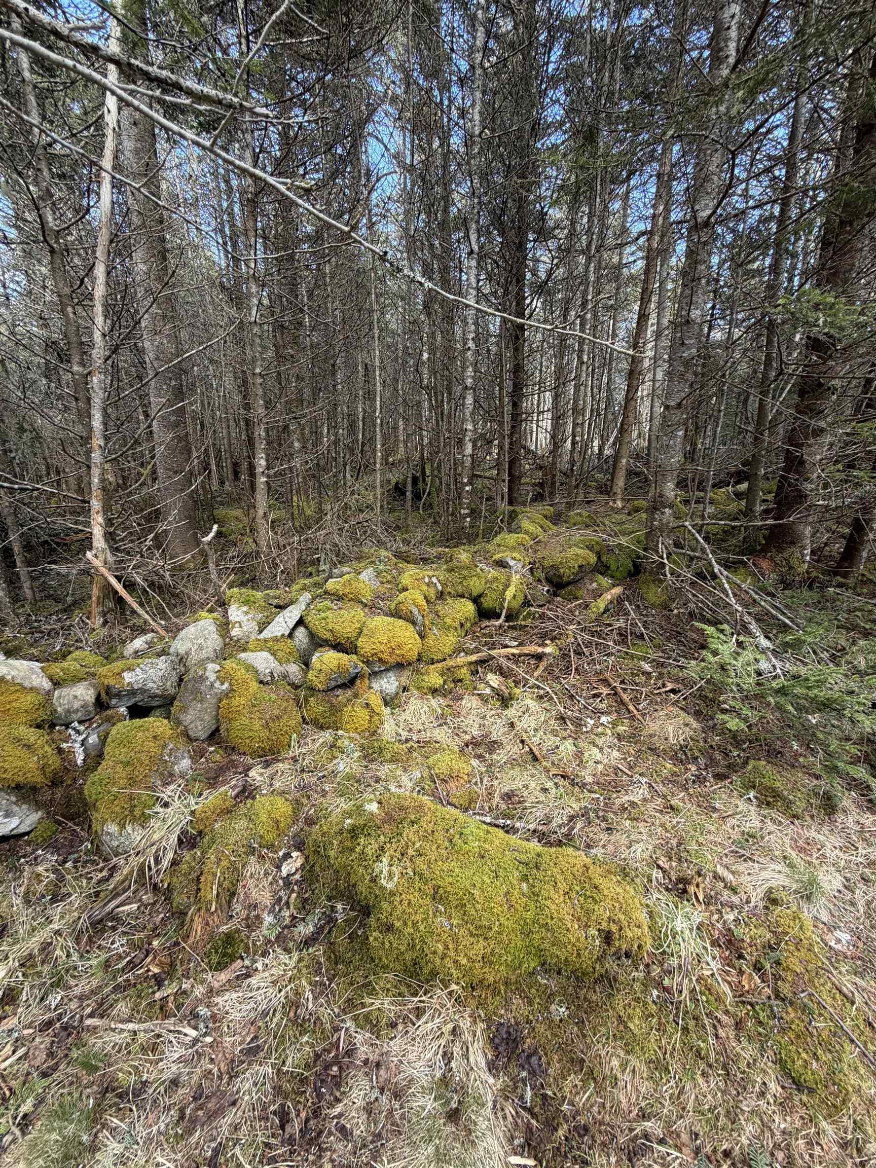 $90,000.00: Lot DJ-1 Stoney Island Road, Stoney Island