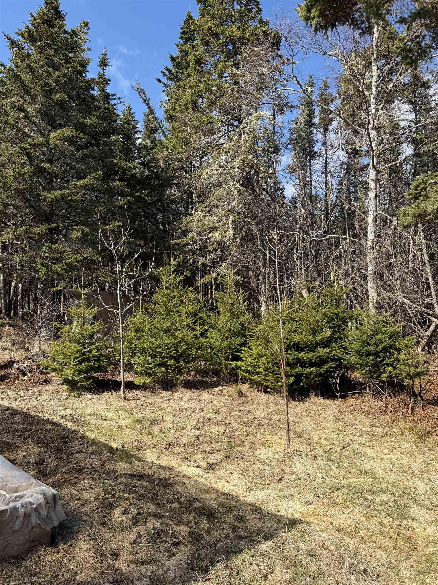 $90,000.00: Lot DJ-1 Stoney Island Road, Stoney Island