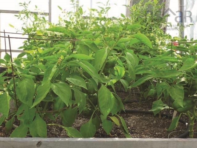 $405,000.00: 140 Joudrey Road, Barrachois