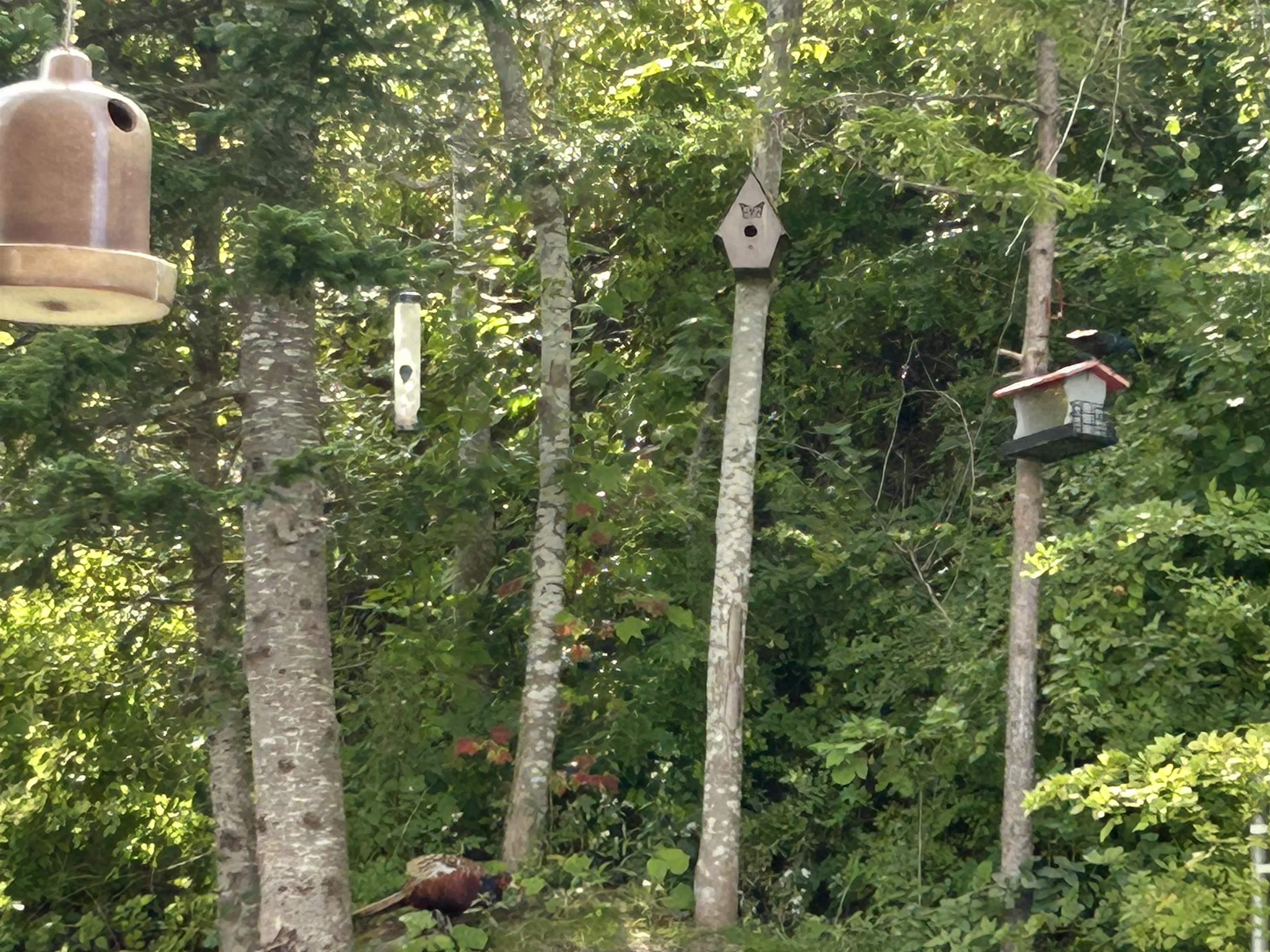 36 Guptill Close, Beaver Bank, NS (MLS 202606707)