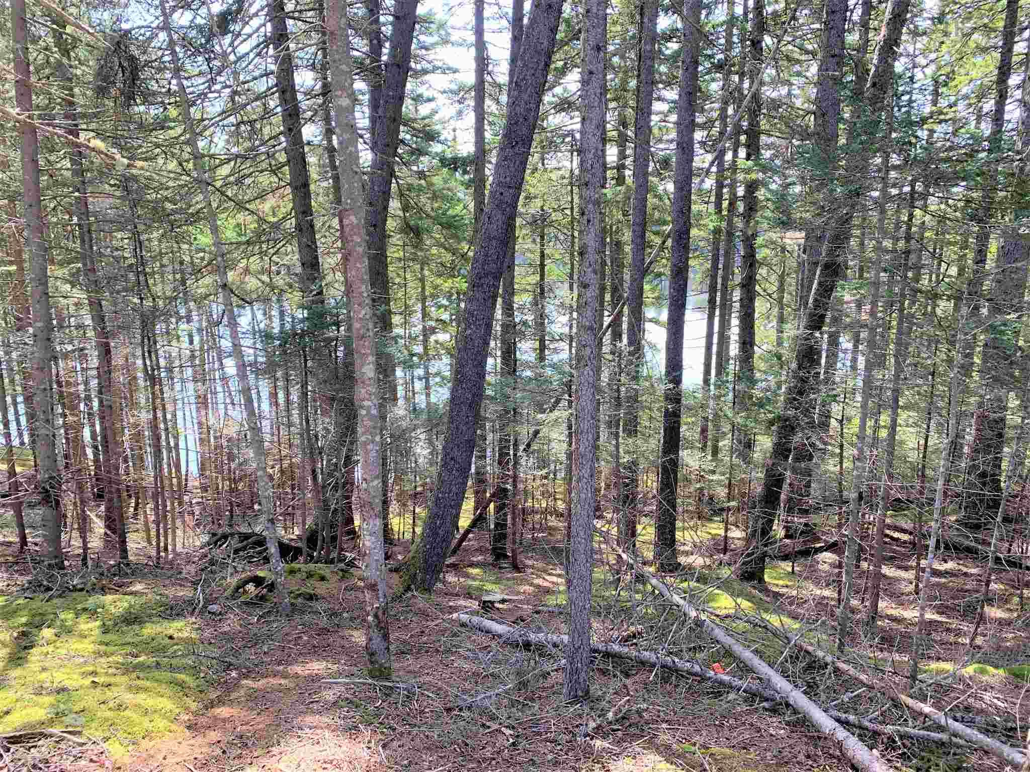 $39,000.00: Lakelands Road, Lakelands