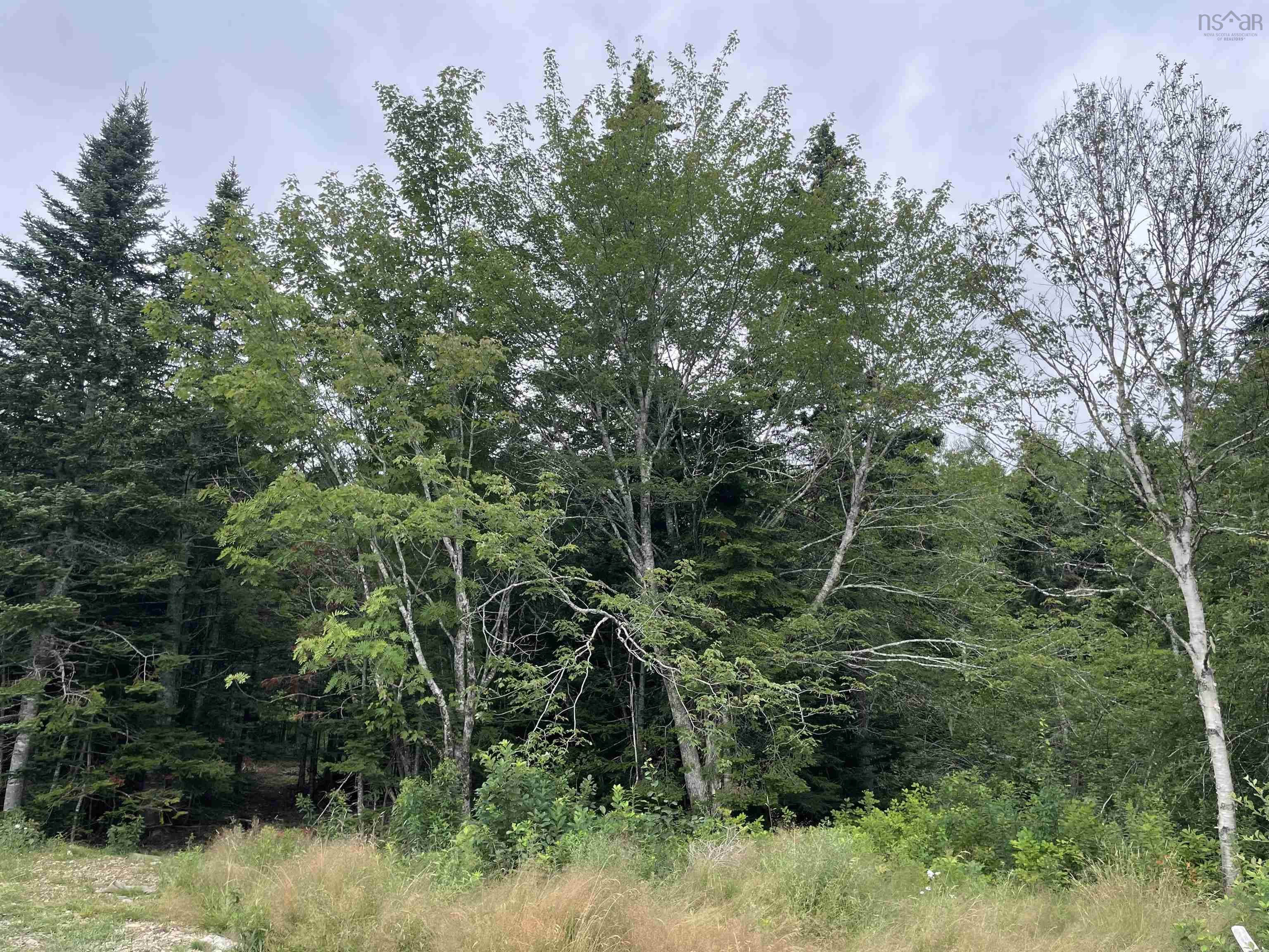 $109,900.00: 1049 Gillis Lake Road, Gillis Lake