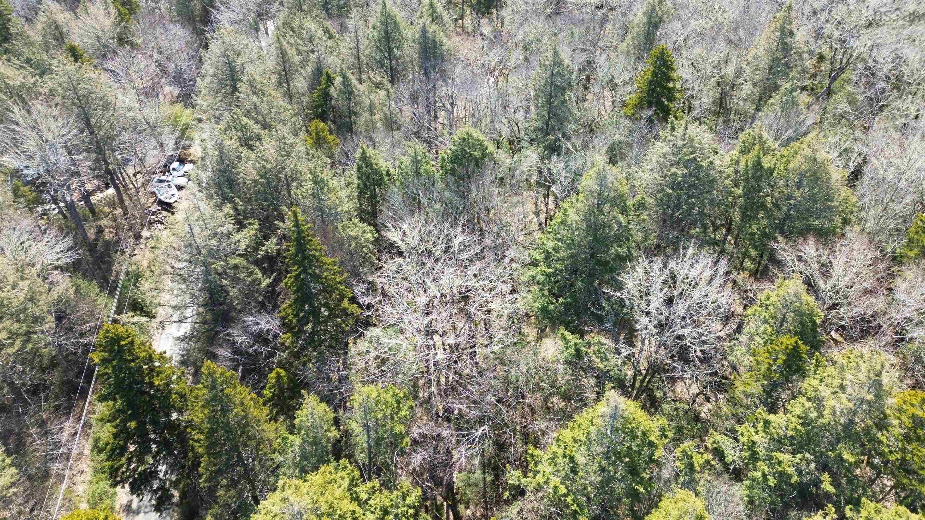 $19,900.00: Lot 61 SUNRISE CIRCLE EAST Road, Labelle