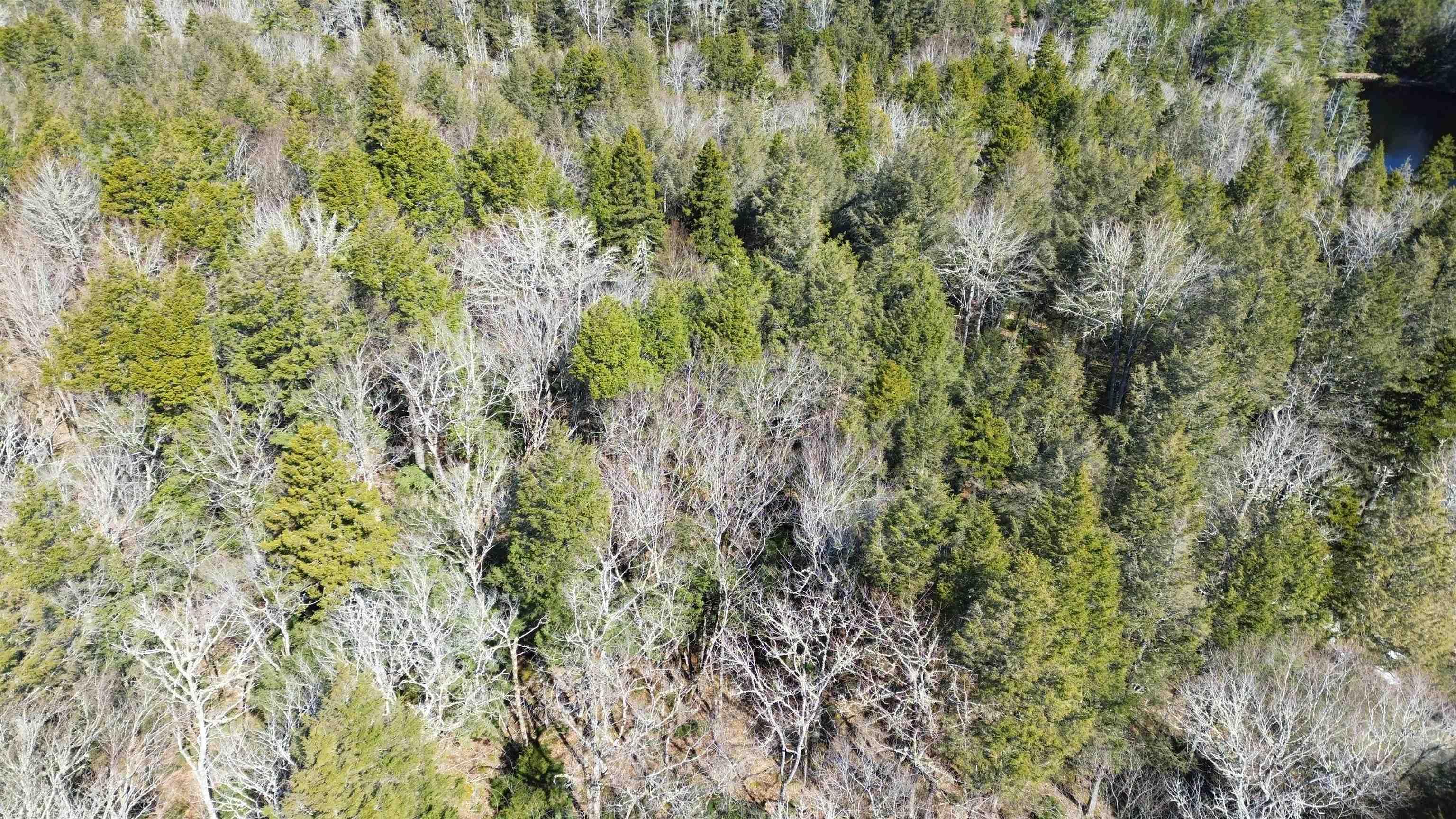 $19,900.00: Lot 61 SUNRISE CIRCLE EAST Road, Labelle
