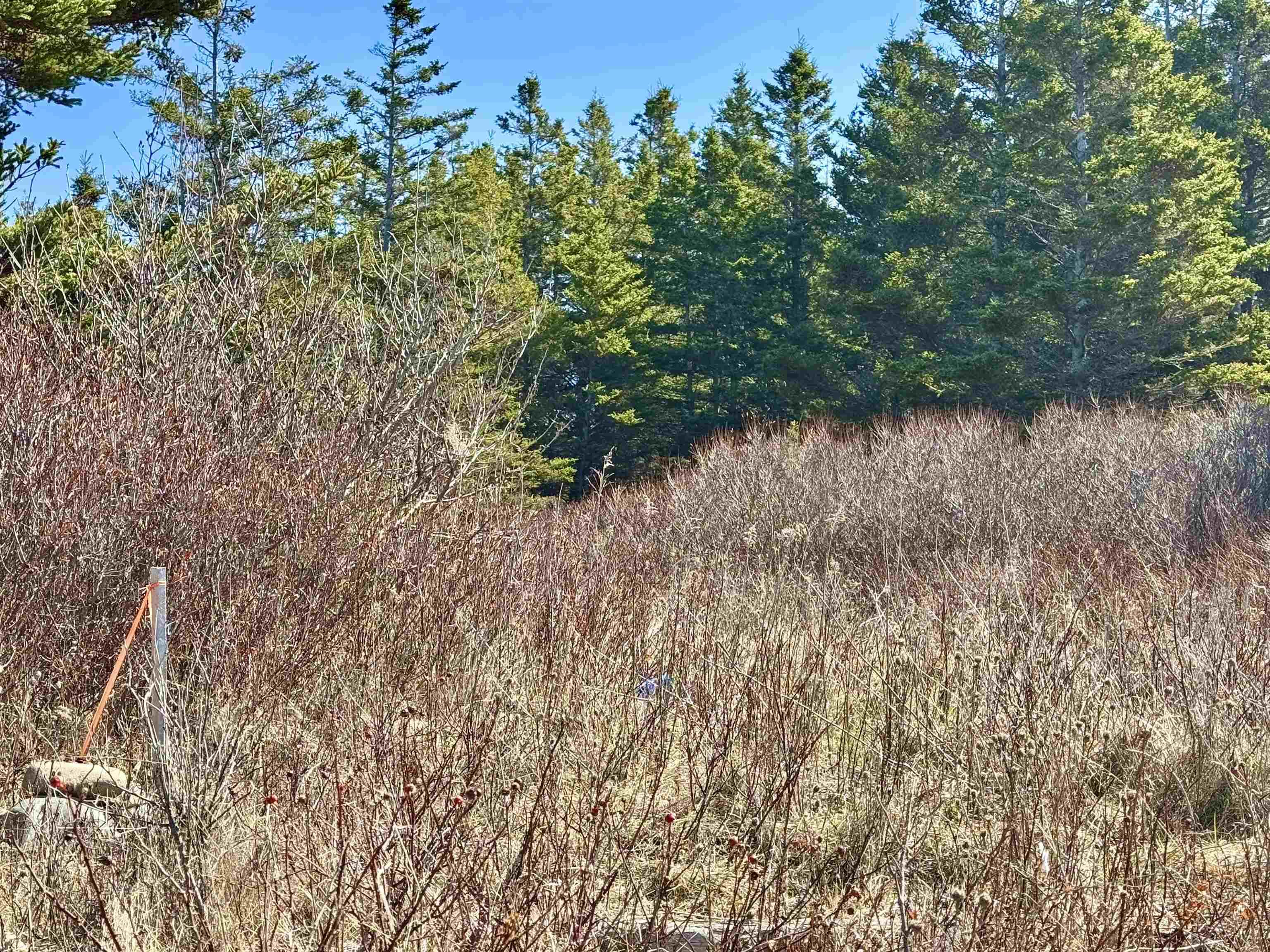 $184,900.00: Lot 3 Shore Road, Youngs Cove