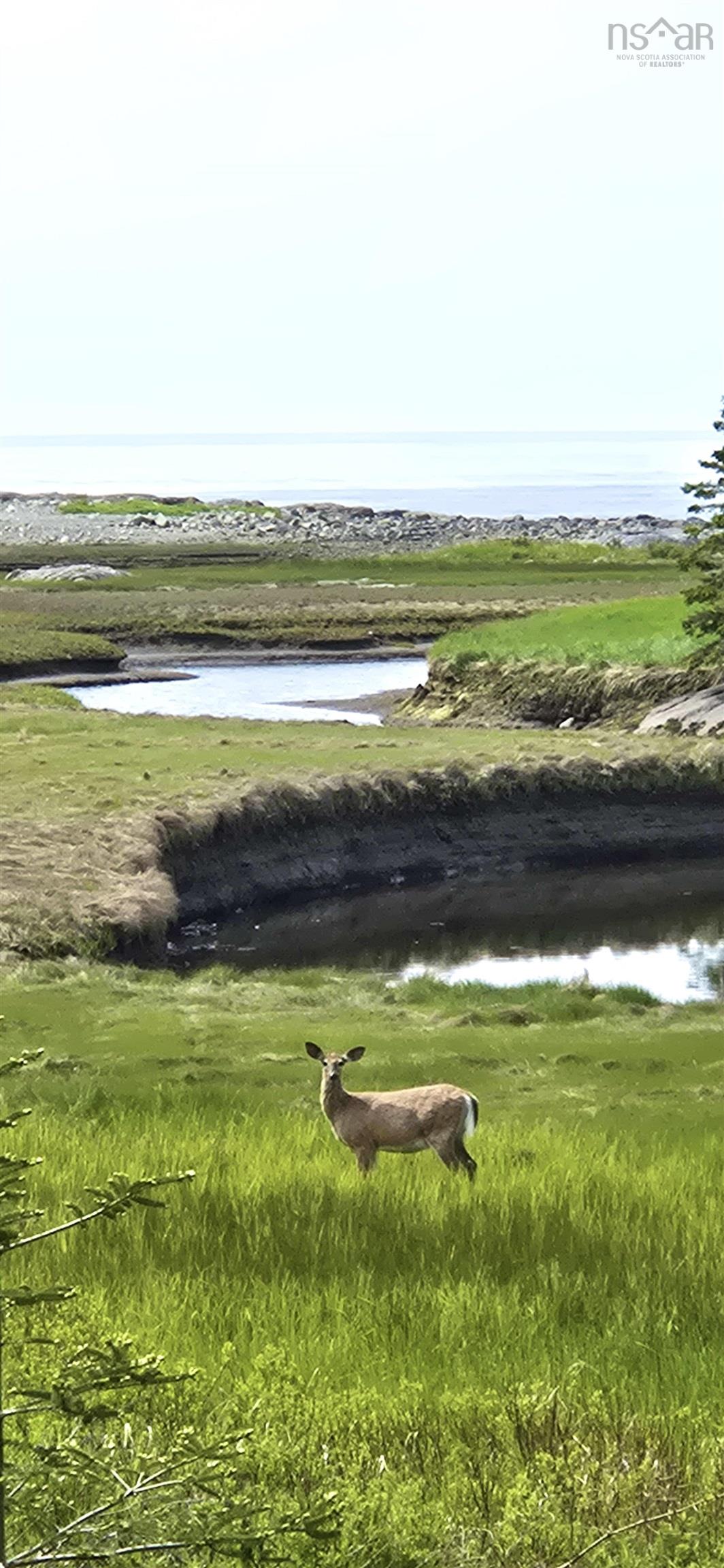 $459,000.00: 7741 Highway 331, Cherry Hill