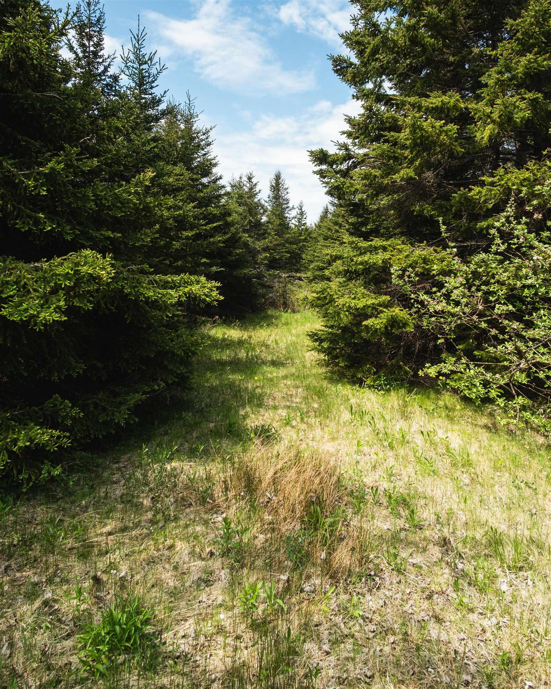 $185,000.00: Highway 19 Highway, Long Point