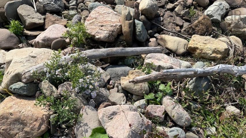 $185,000.00: Highway 19 Highway, Long Point