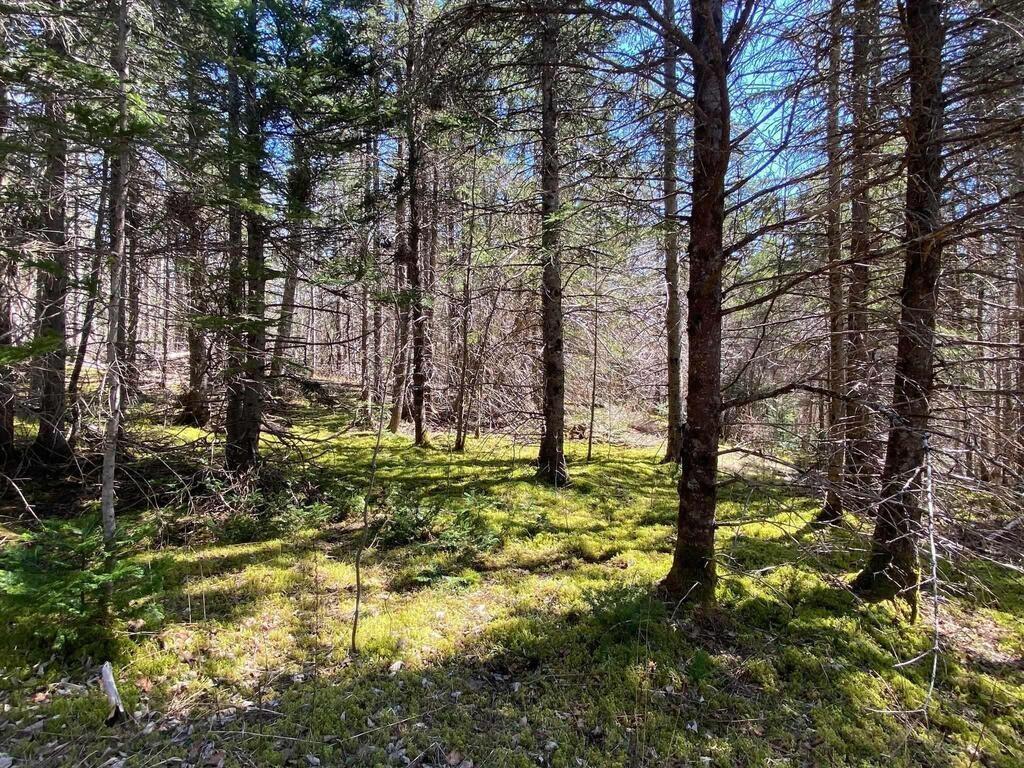 $129,000.00: Acreage Stronach Mountain Road, Melvern Square
