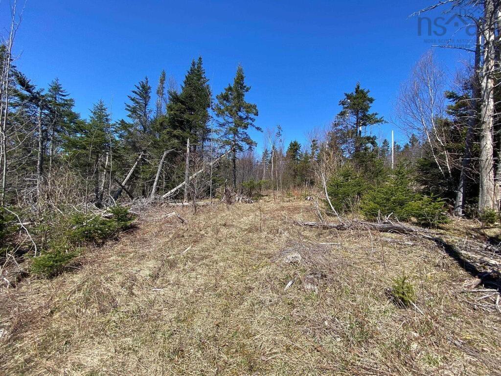 $129,000.00: Acreage Stronach Mountain Road, Melvern Square