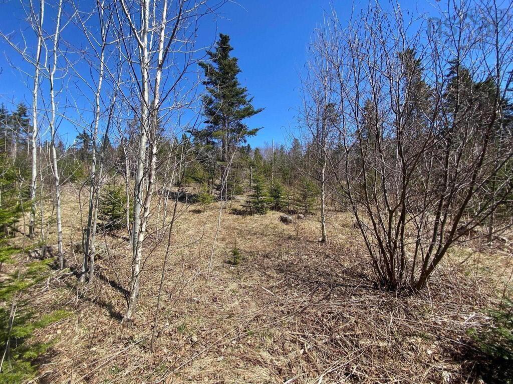 $129,000.00: Acreage Stronach Mountain Road, Melvern Square