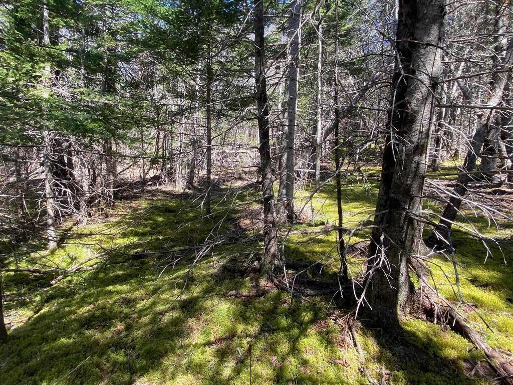 $129,000.00: Acreage Stronach Mountain Road, Melvern Square