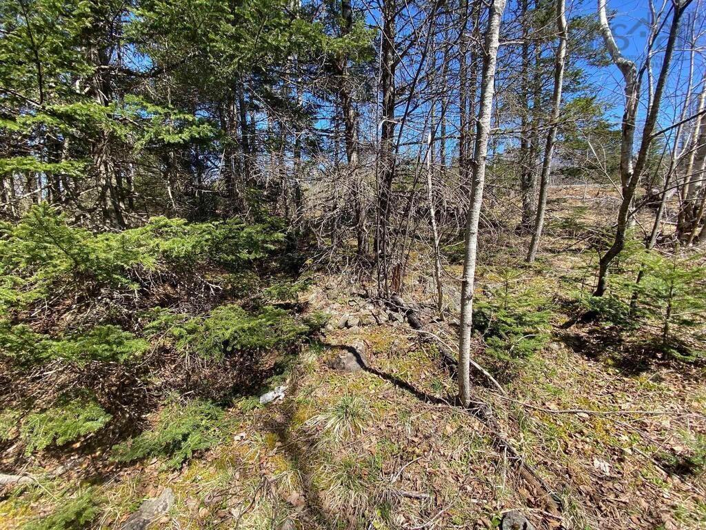 $129,000.00: Acreage Stronach Mountain Road, Melvern Square