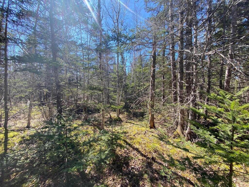 $129,000.00: Acreage Stronach Mountain Road, Melvern Square