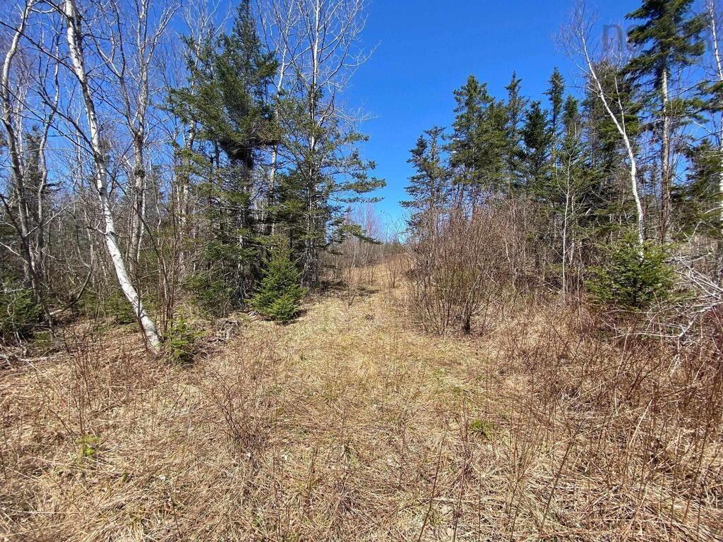 $129,000.00: Acreage Stronach Mountain Road, Melvern Square